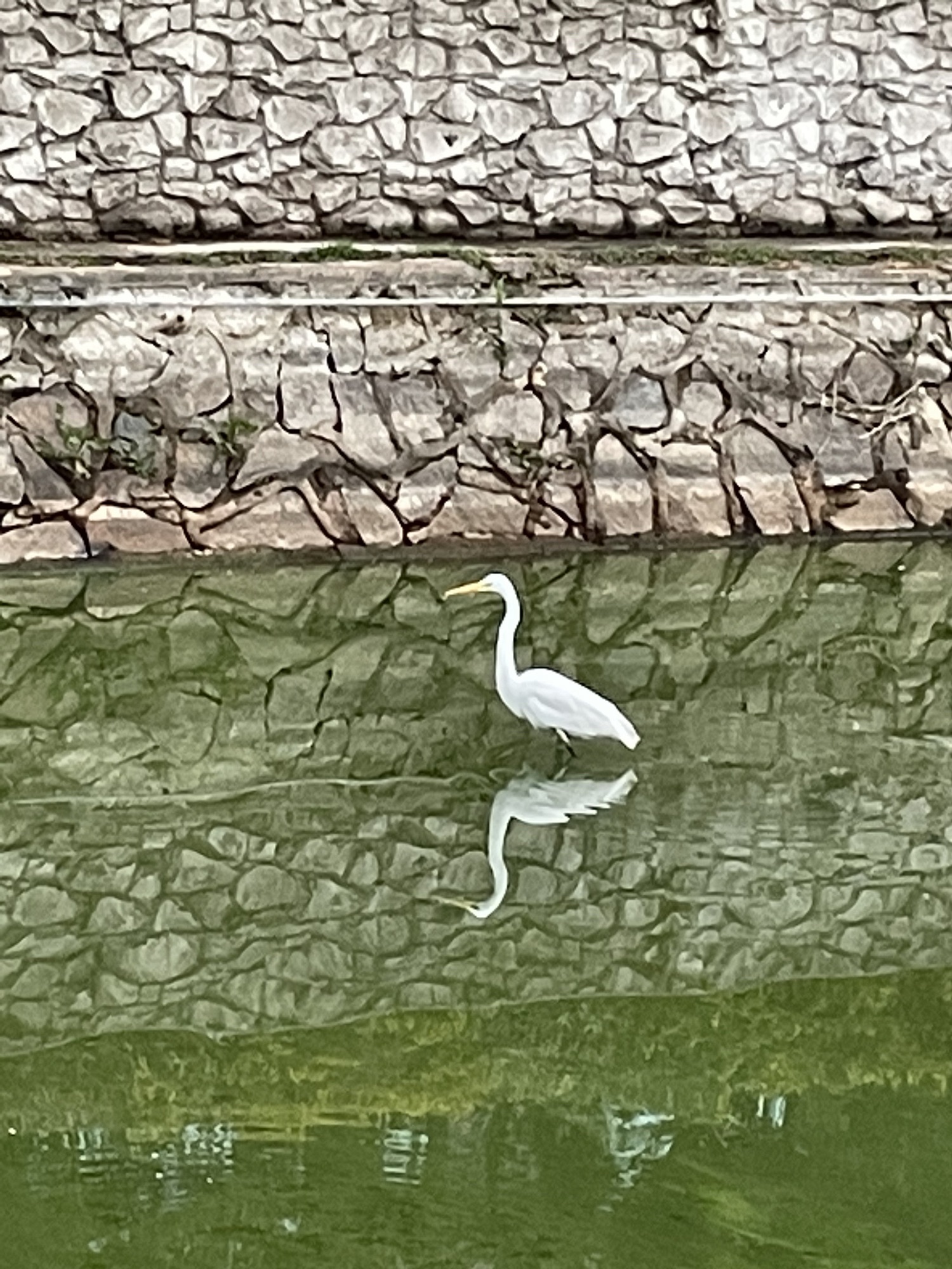 太湖旅行图片 2