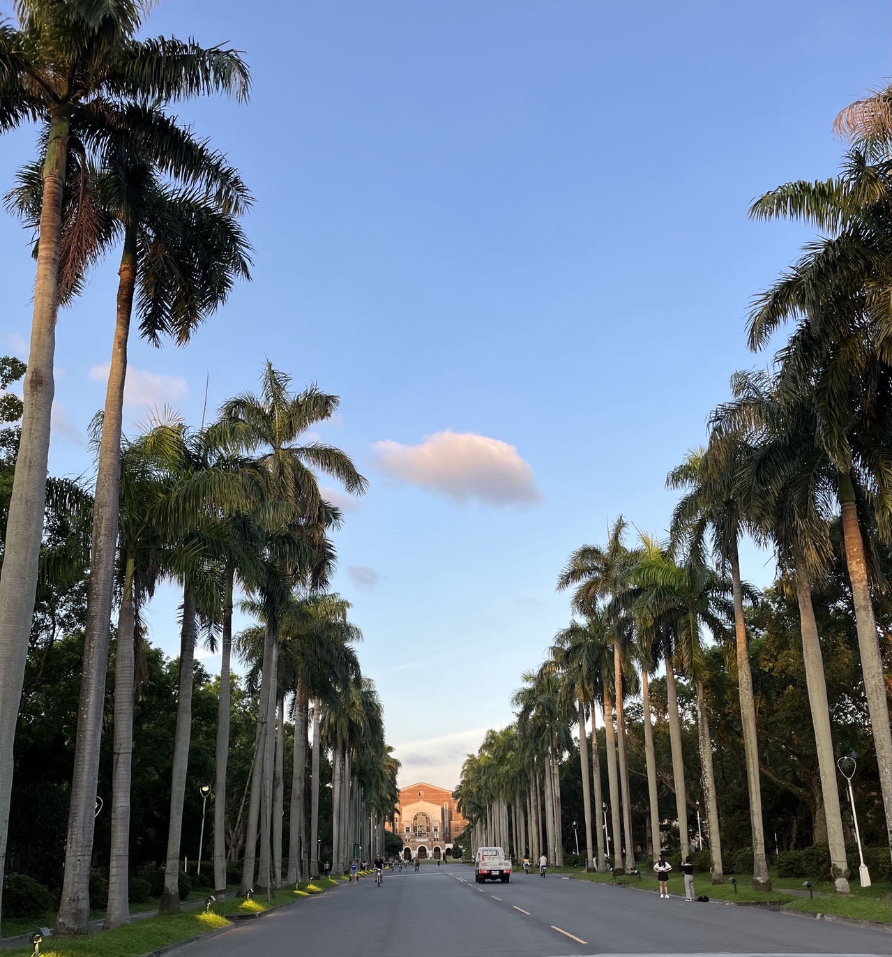 台湾大学