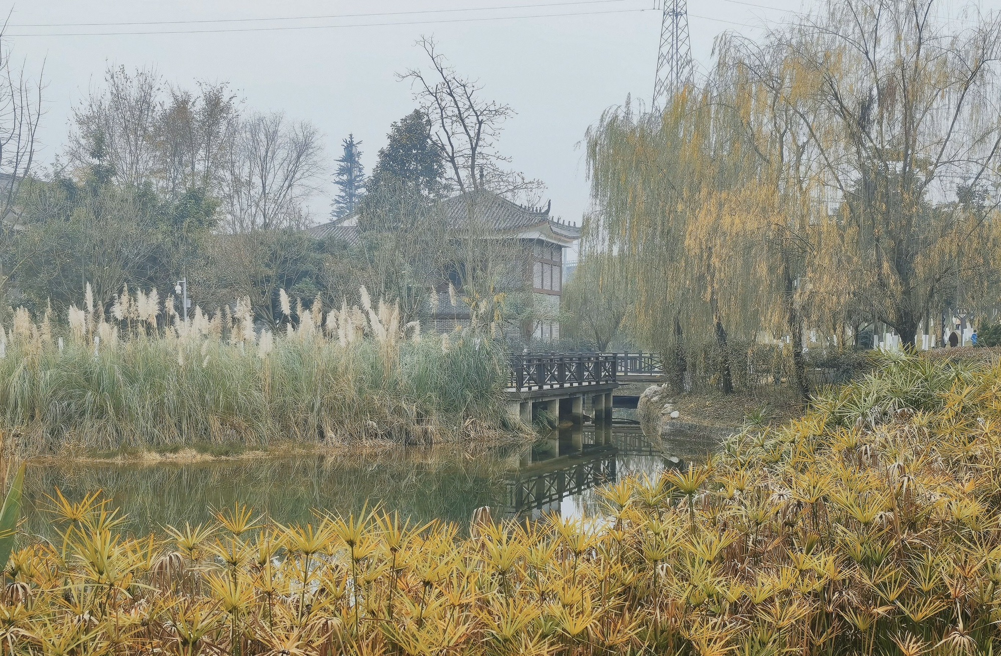 万景·九巷十坊旅行图片 1