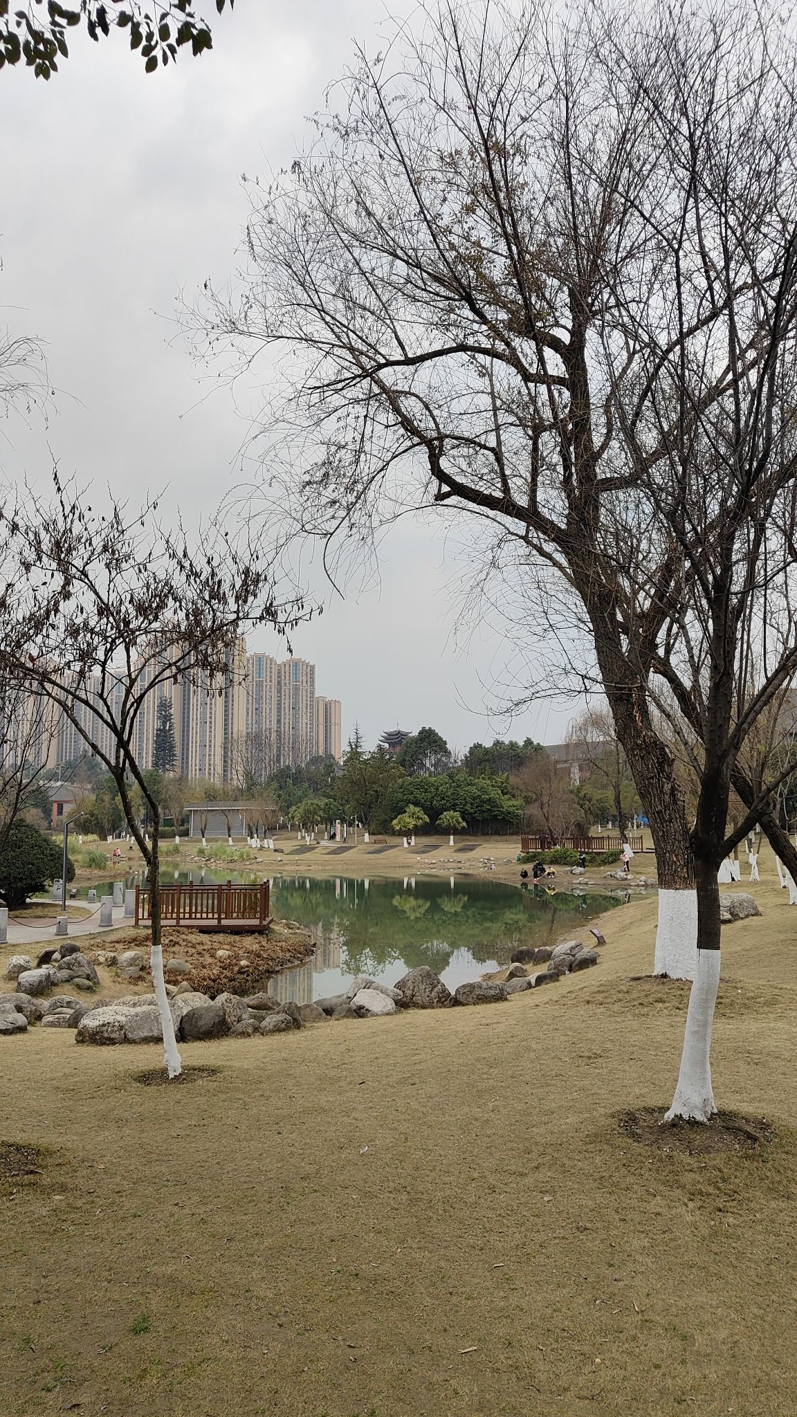 苏洵公园旅行图片 3