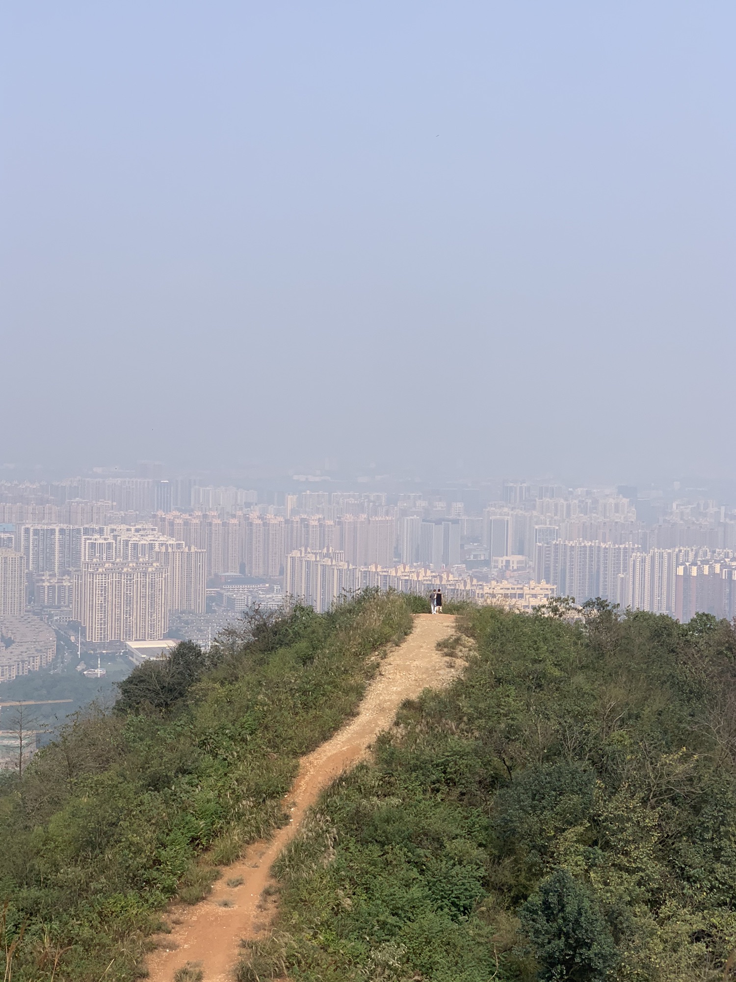 谷山森林公园旅行图片 2
