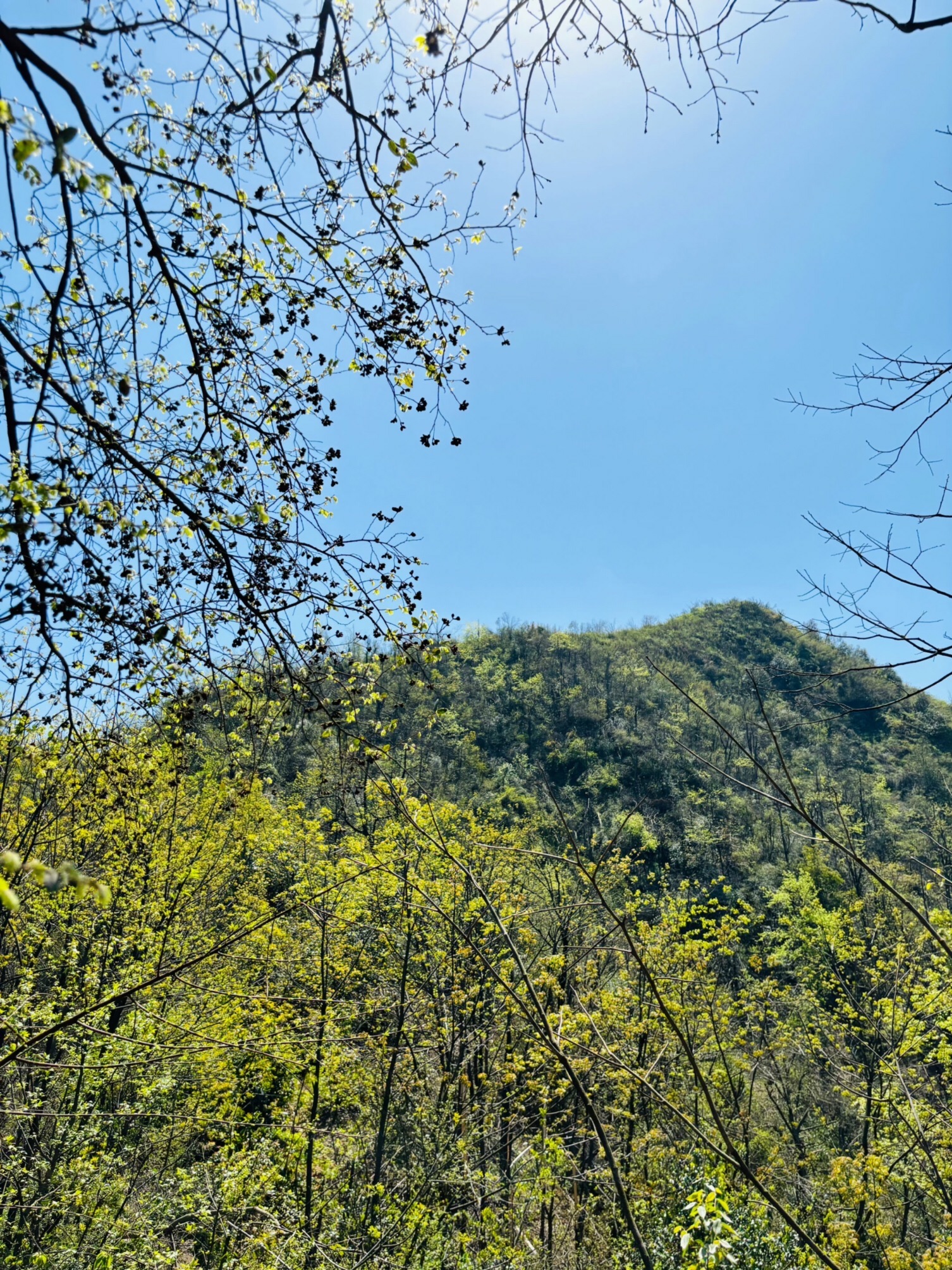 谷山森林公园旅行图片 3