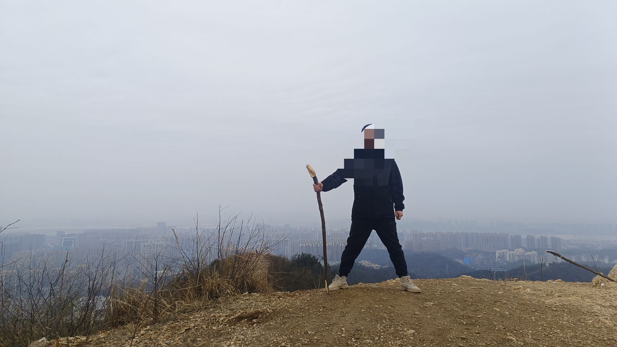 谷山森林公园旅行图片 3