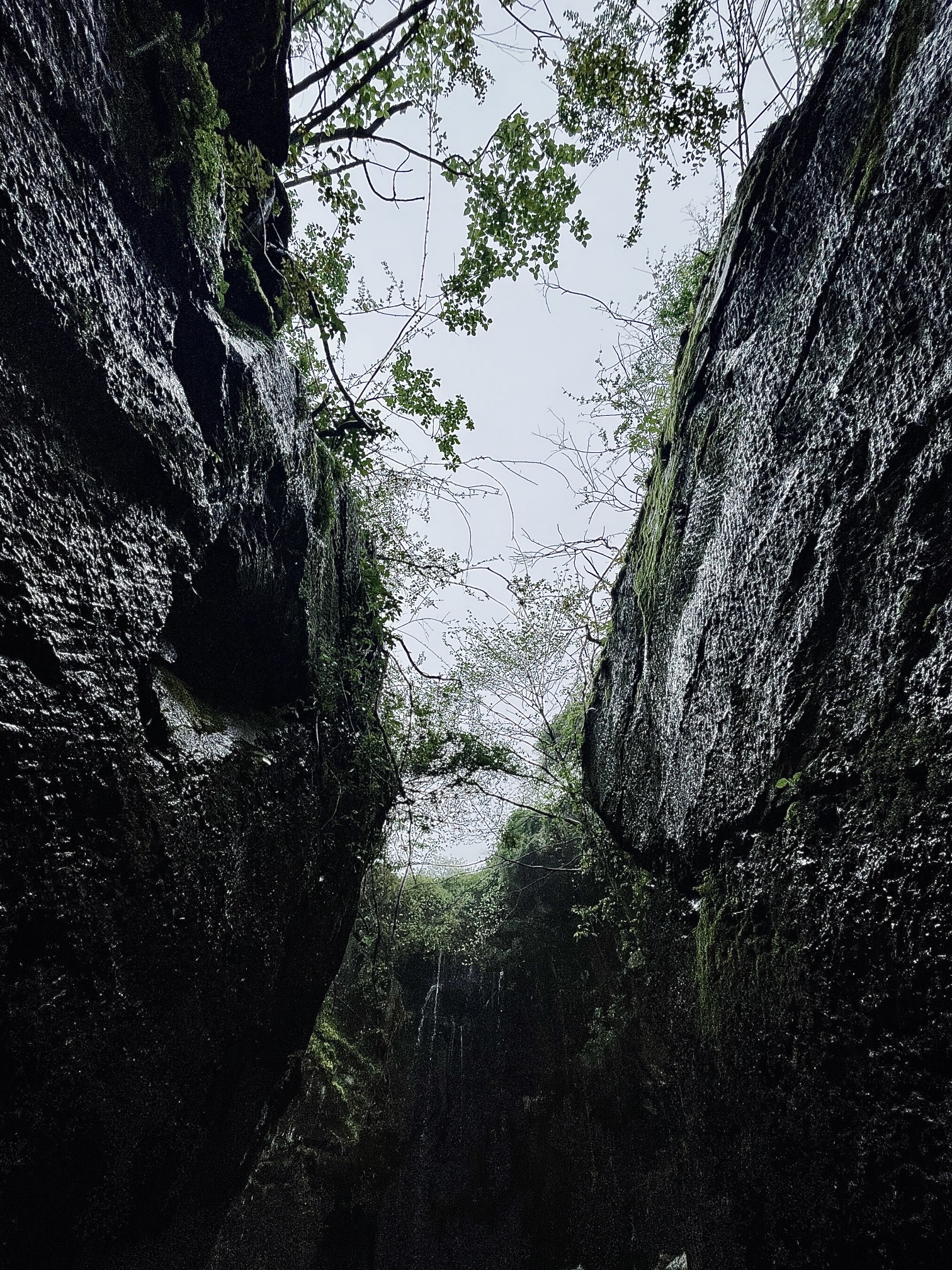 谷山森林公园旅行图片 3