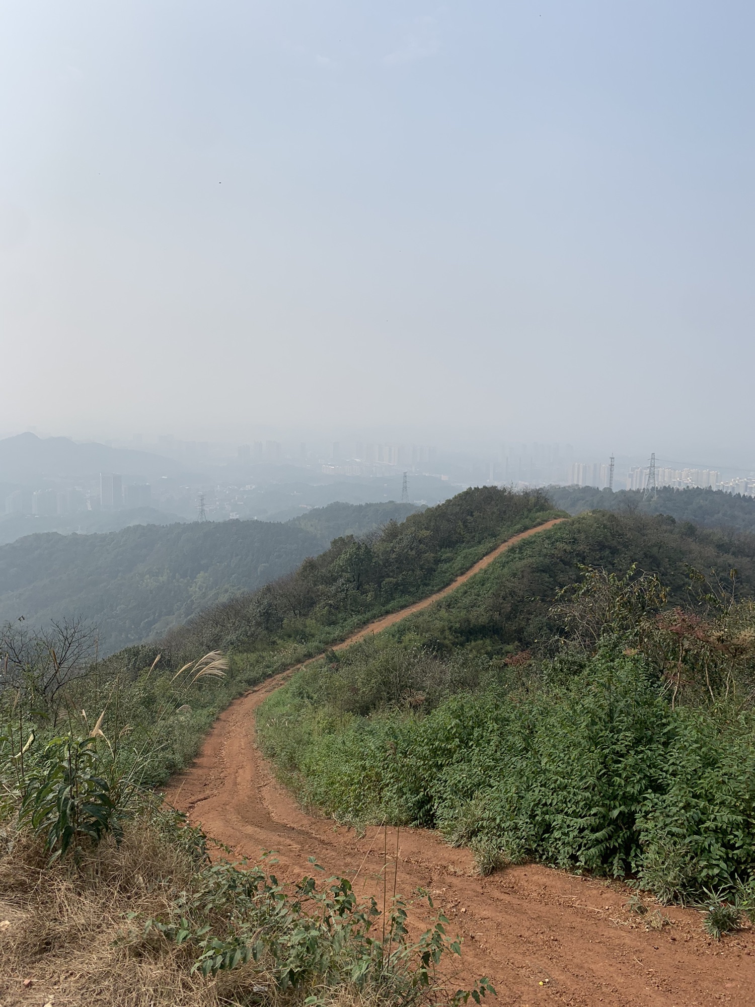 谷山森林公园旅行图片 3