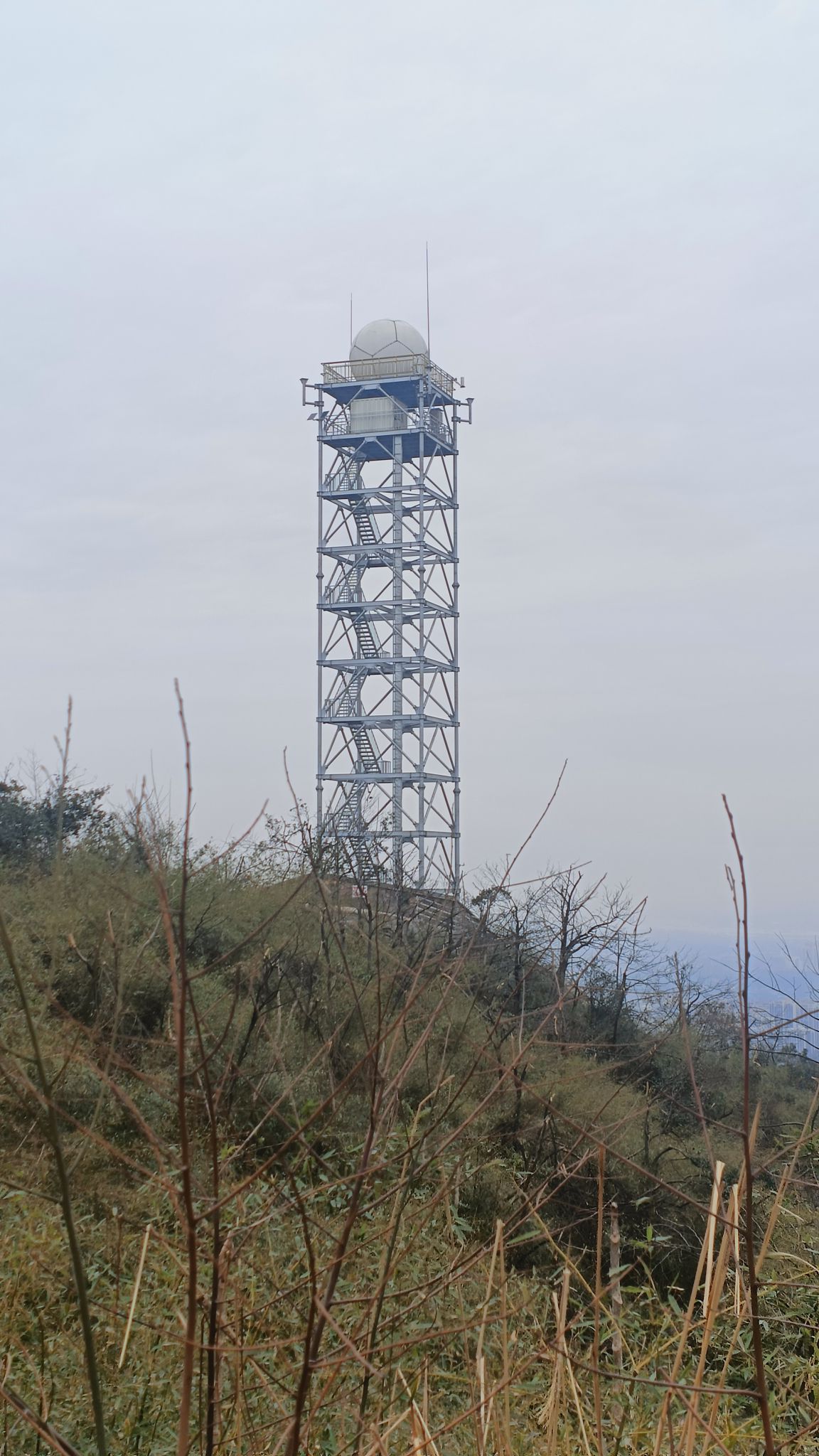 谷山森林公园旅行图片 1
