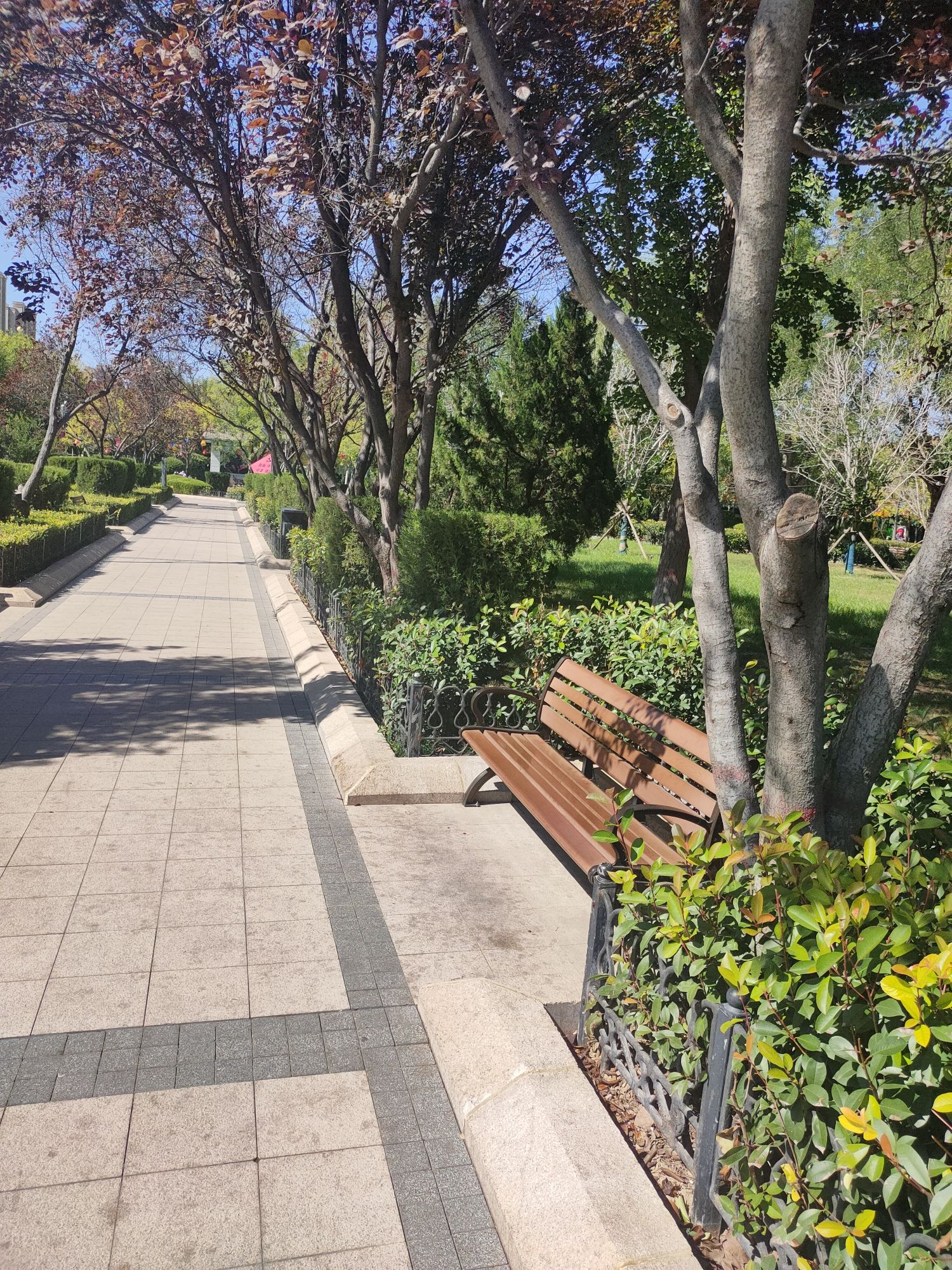 迎宾广场旅行图片 2