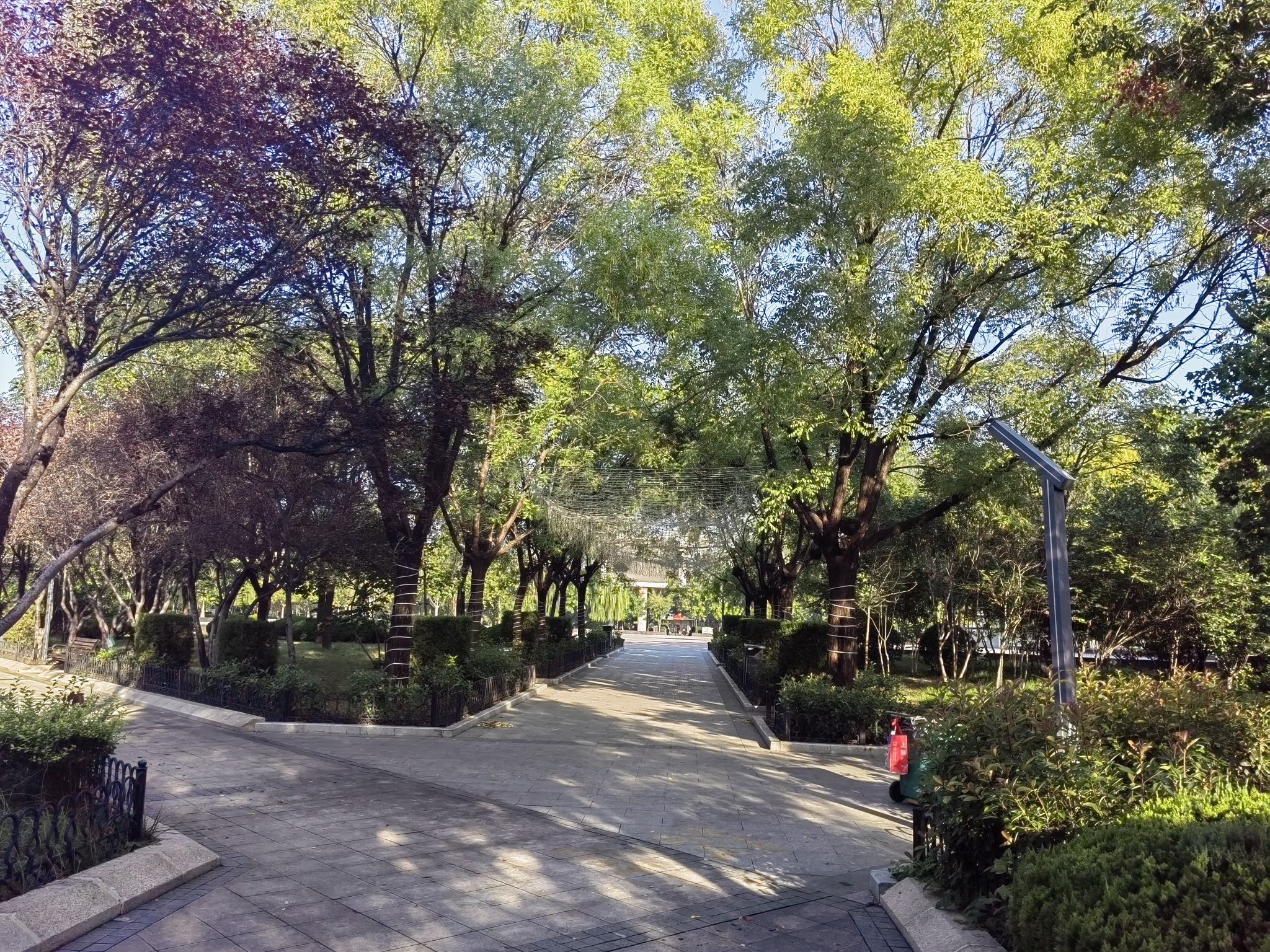 迎宾广场旅行图片 2