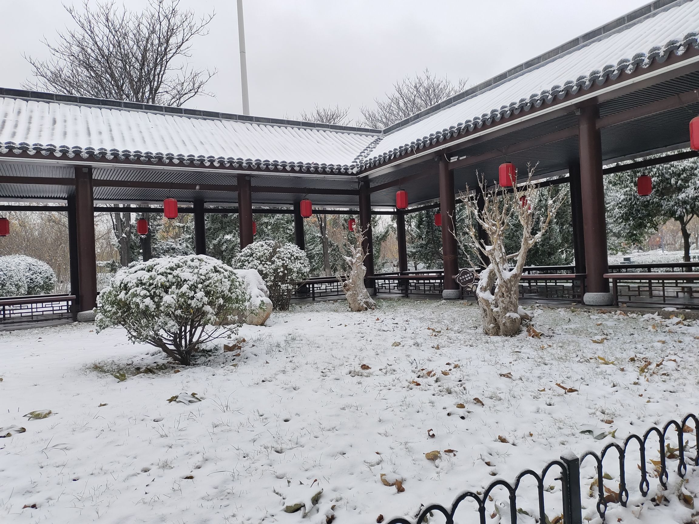 迎宾广场旅行图片 3
