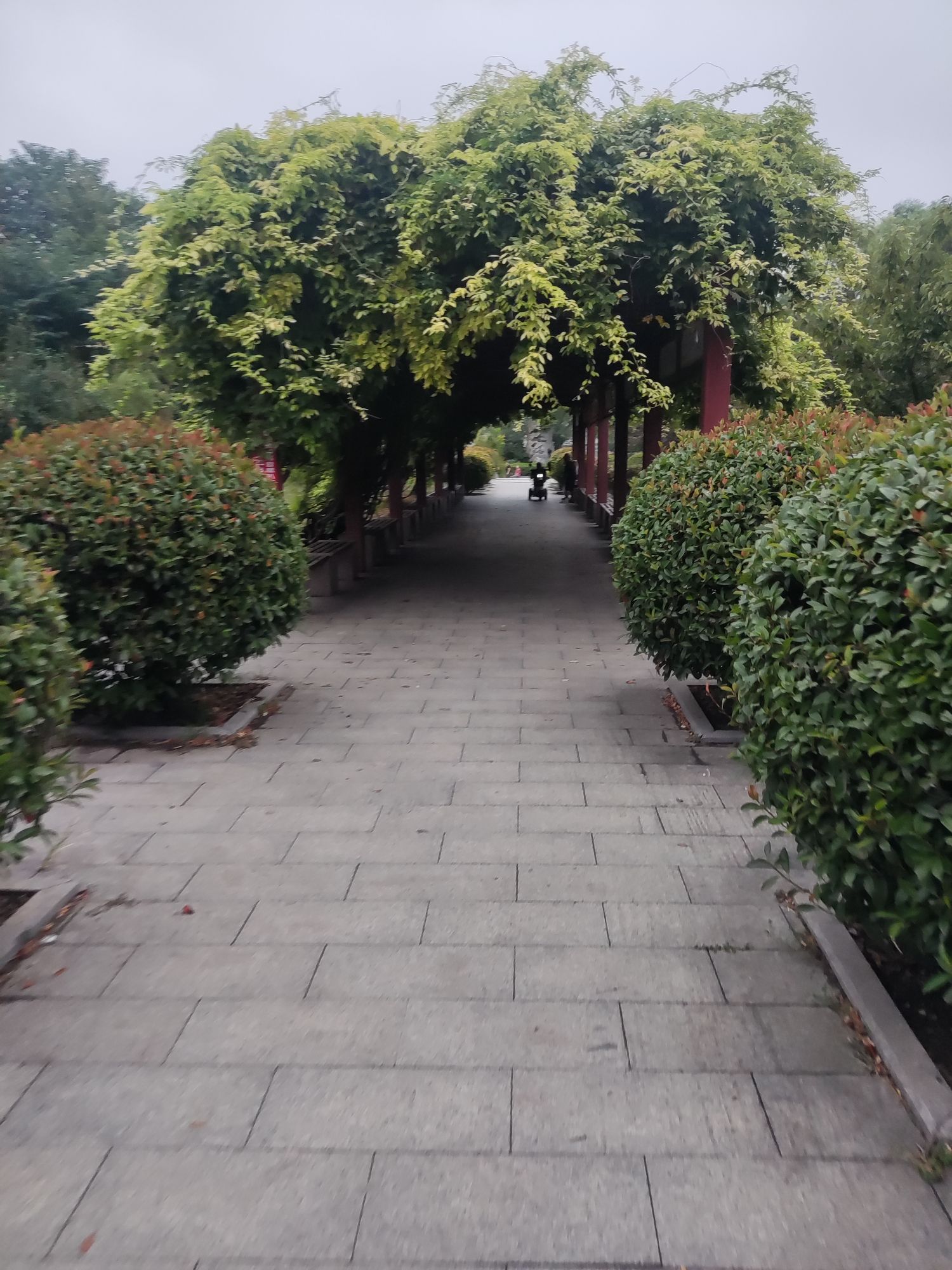 古黄河公园旅行图片 3