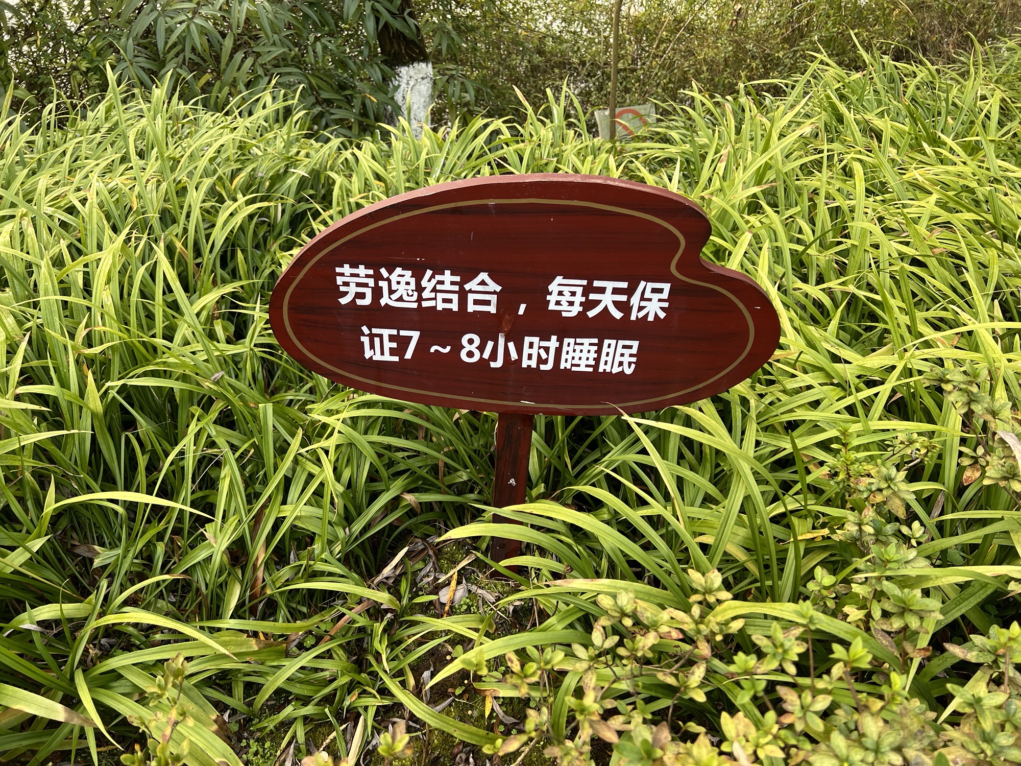 月潭公园旅行图片 1