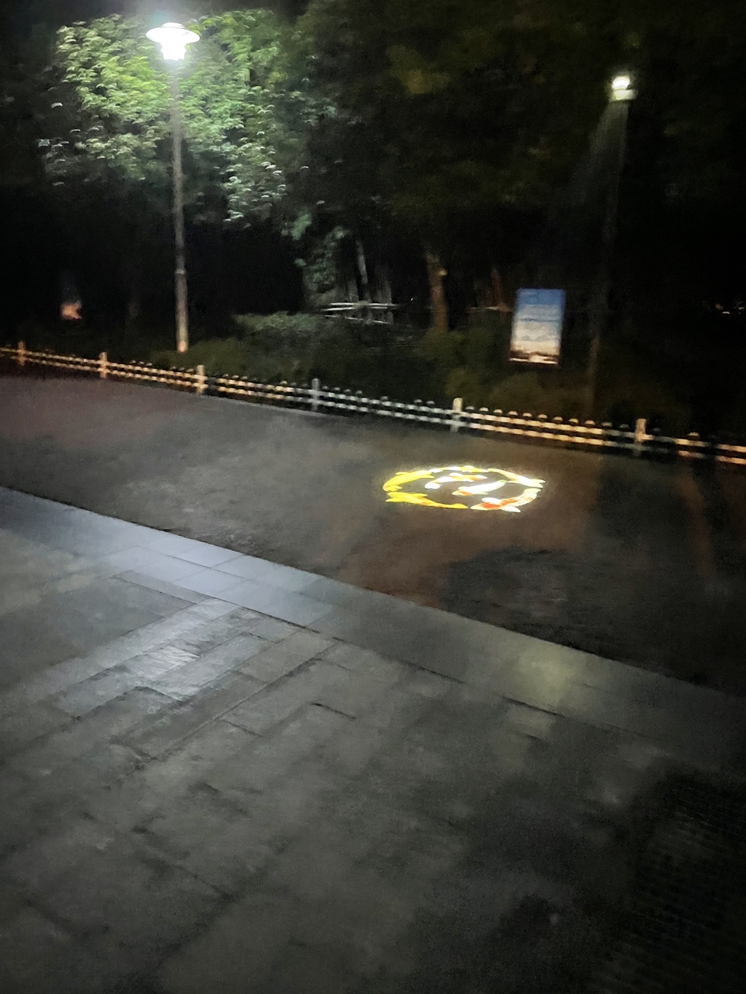 月潭公园旅行图片 2