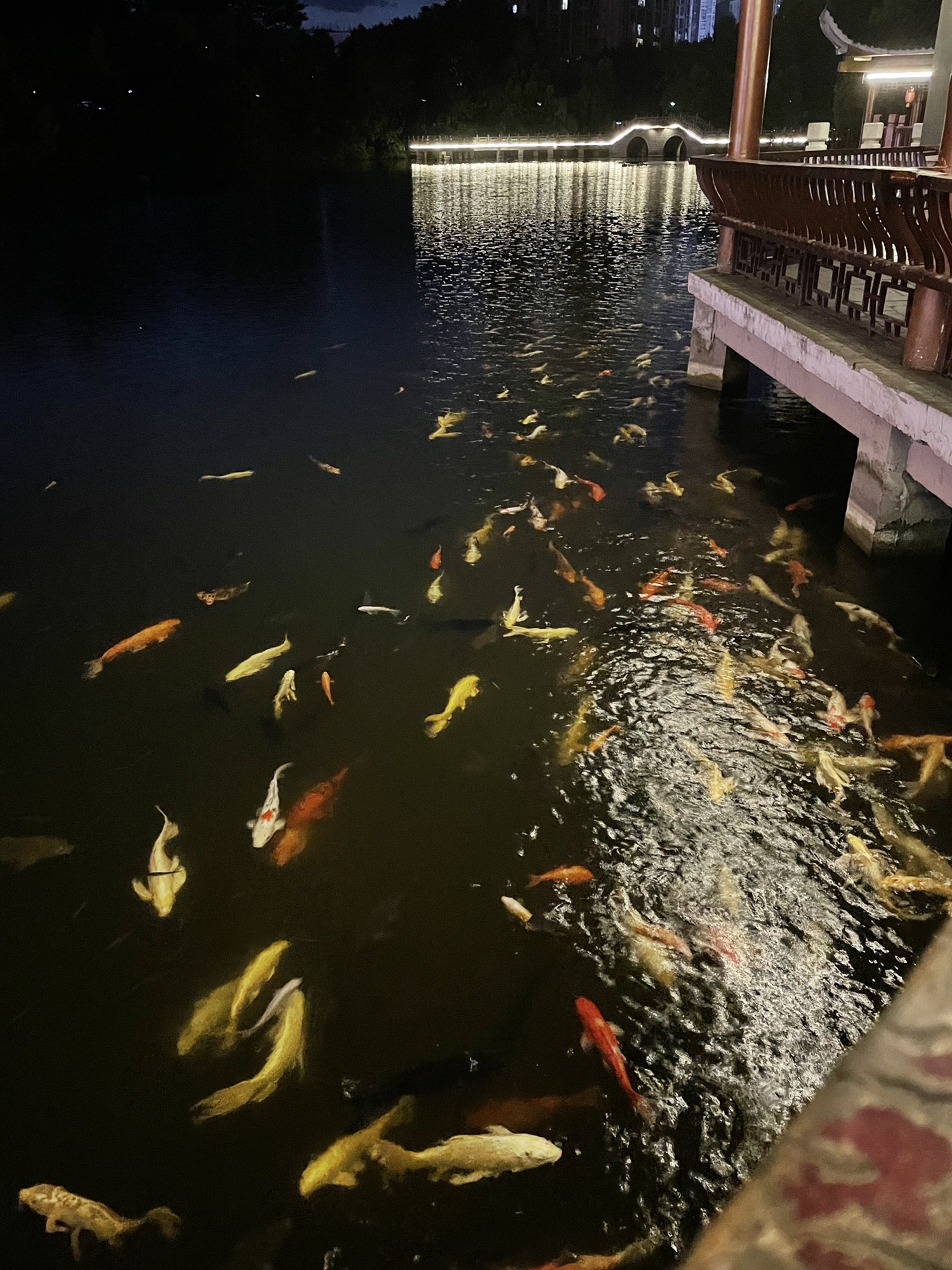 月潭公园旅行图片 1