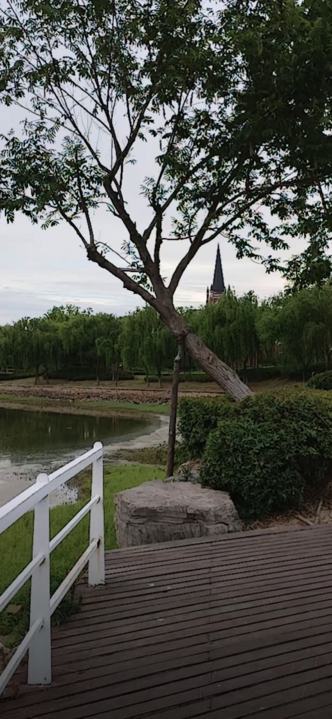 法治公园旅行图片 3