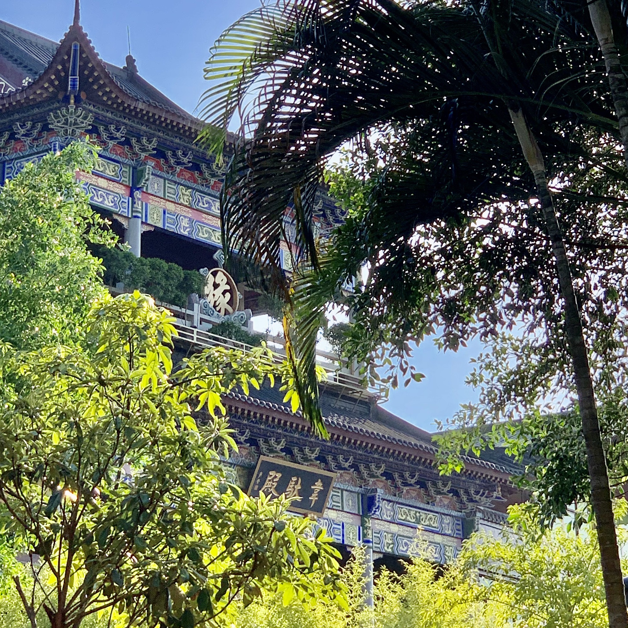 菩提院旅行图片 1