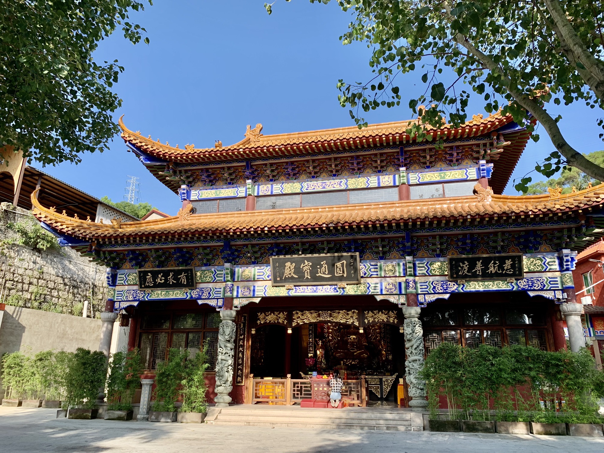 菩提院旅行图片 2