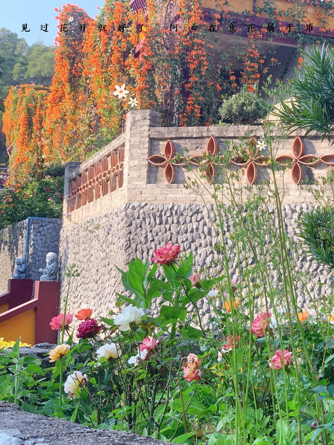 菩提院旅行图片 2