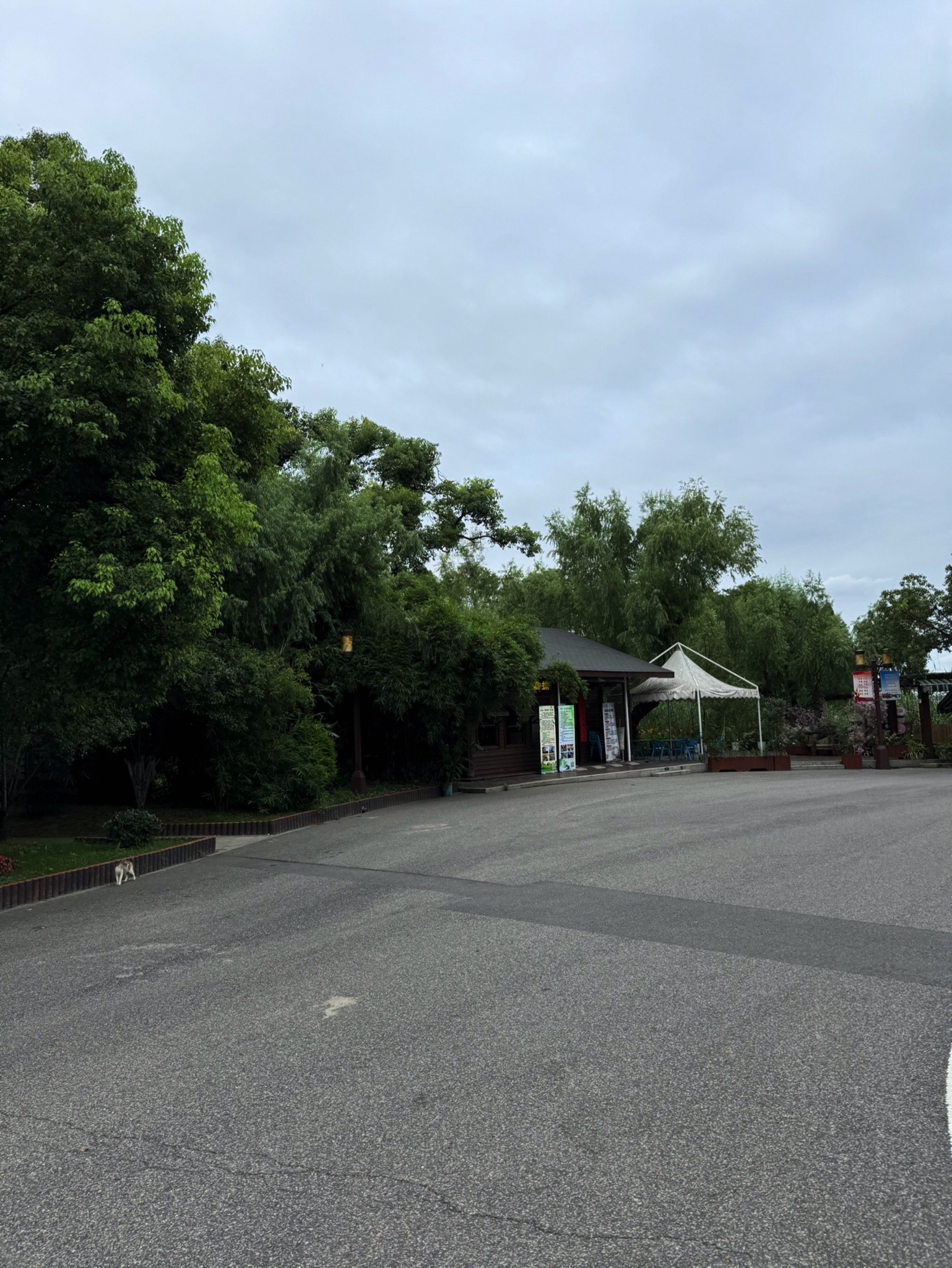 东湖生态旅游风景区听涛景区-东湖览胜旅行图片 3