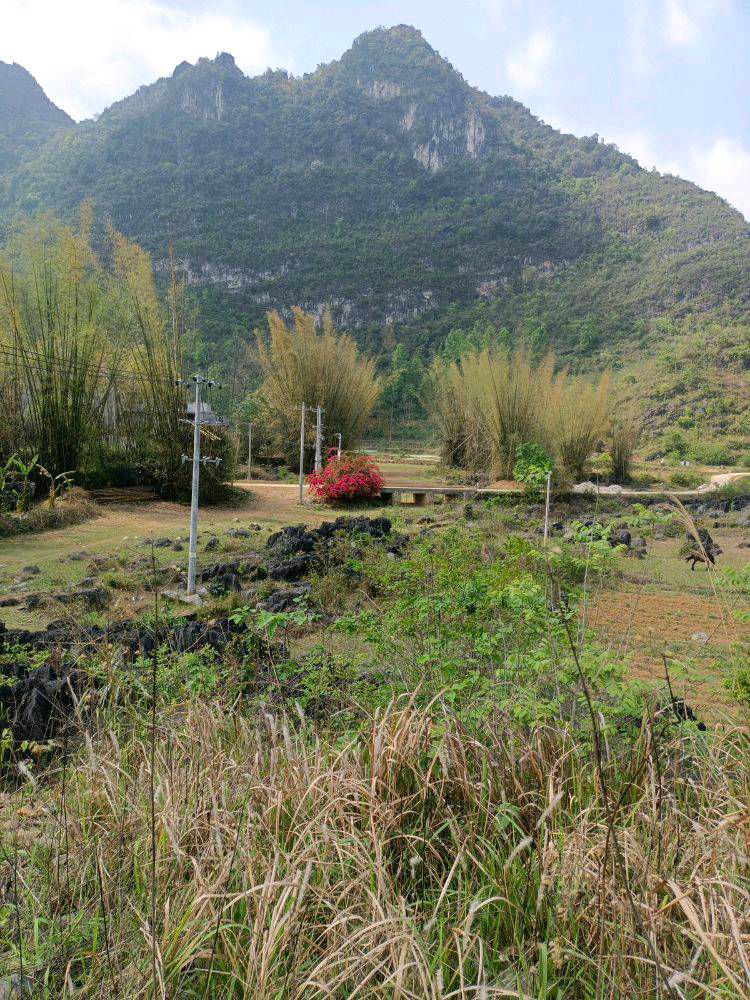 瑞昌广场旅行图片 1
