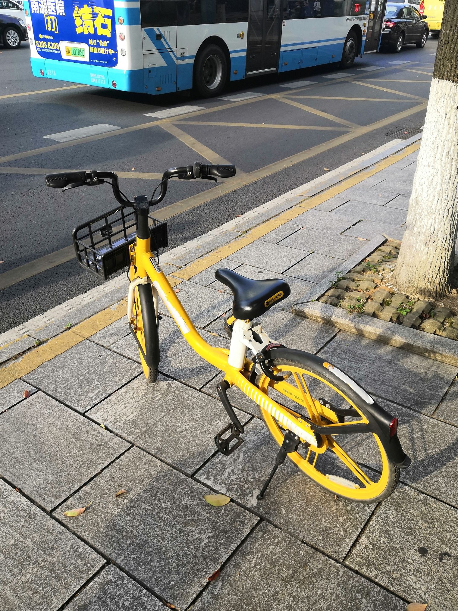 西湖社区法制主题公园旅行图片 3