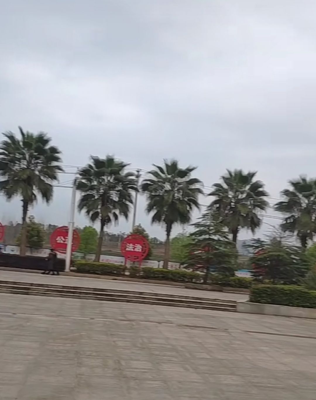 舜帝广场旅行图片 3