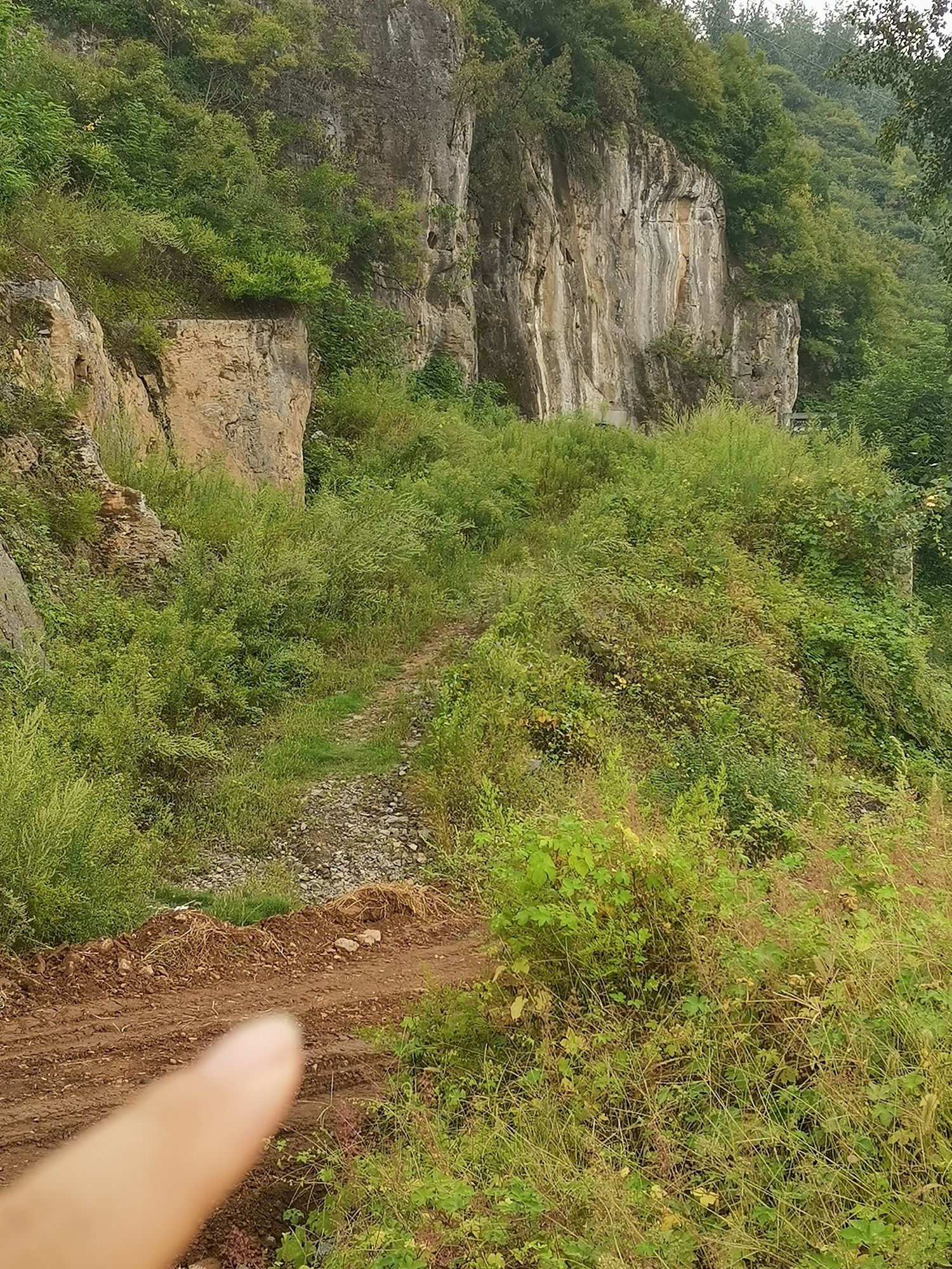 织机洞遗址旅行图片 2