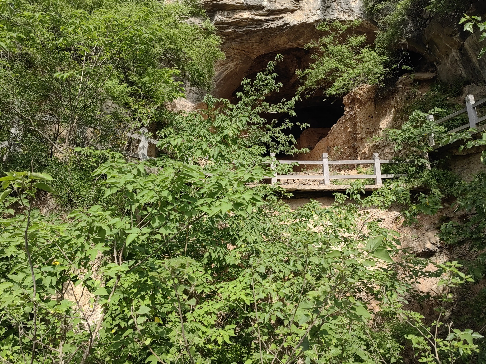织机洞遗址旅行图片 3
