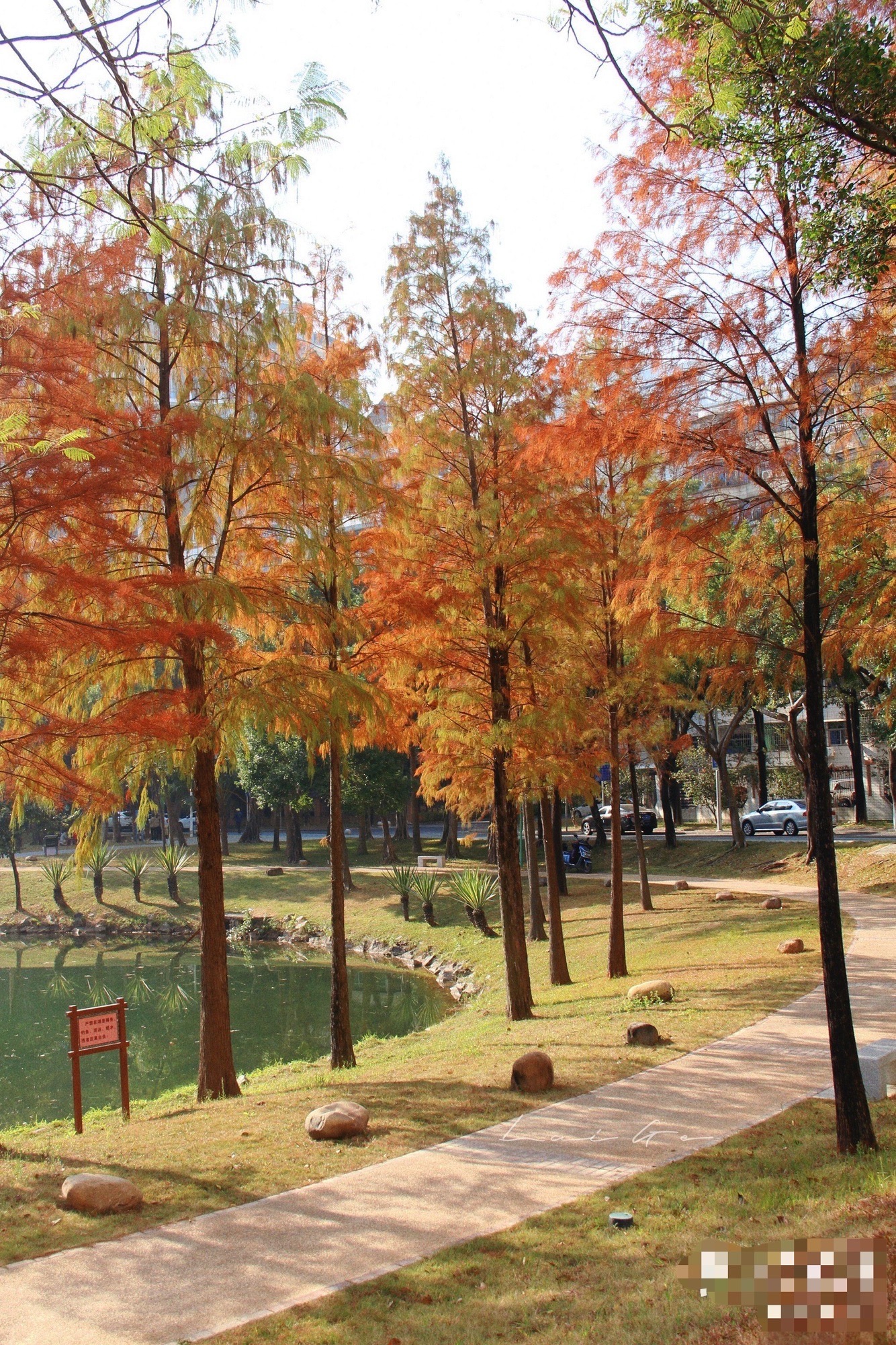 鹅潭公园旅行图片 1
