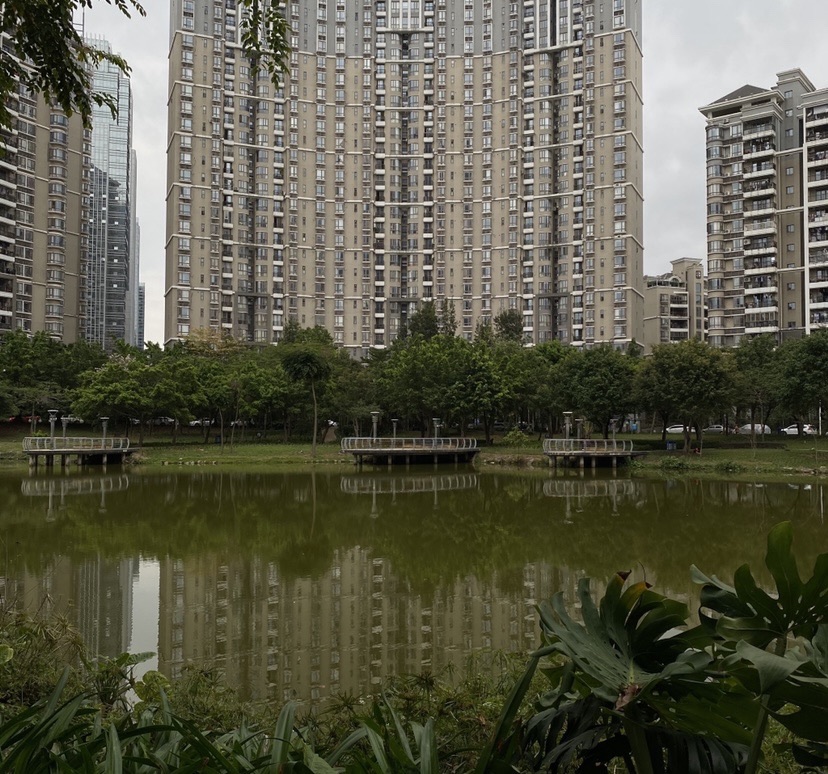 鹅潭公园旅行图片 2