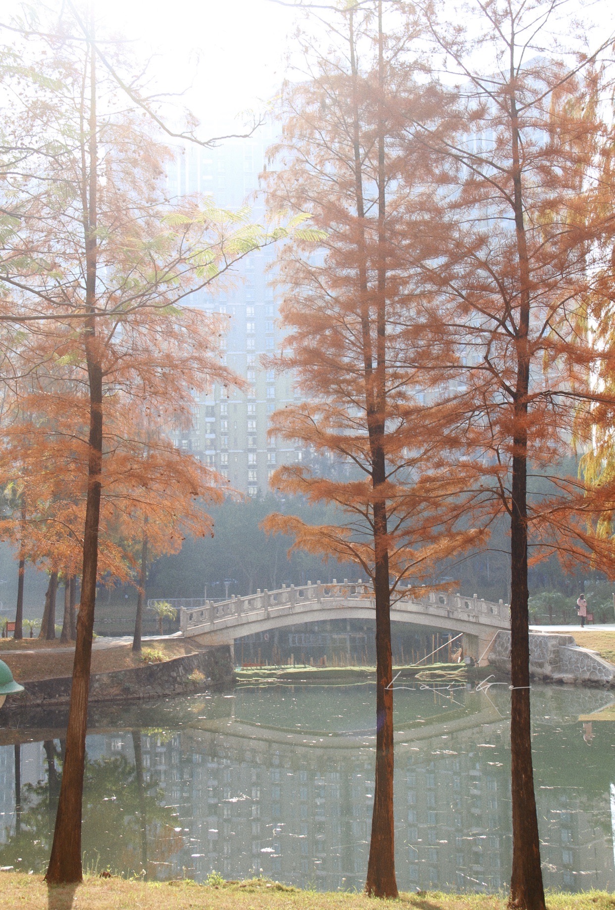 鹅潭公园旅行图片 3