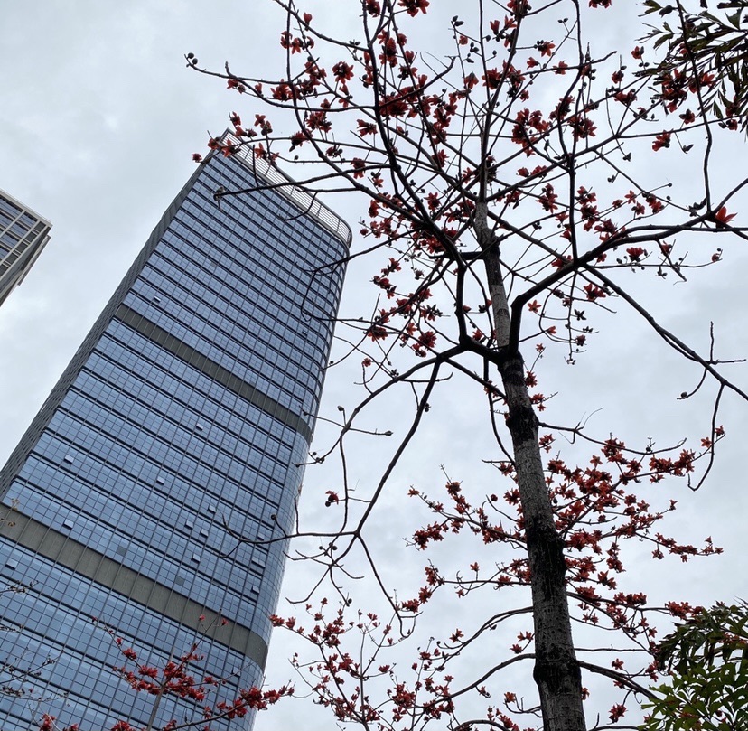 鹅潭公园旅行图片 1