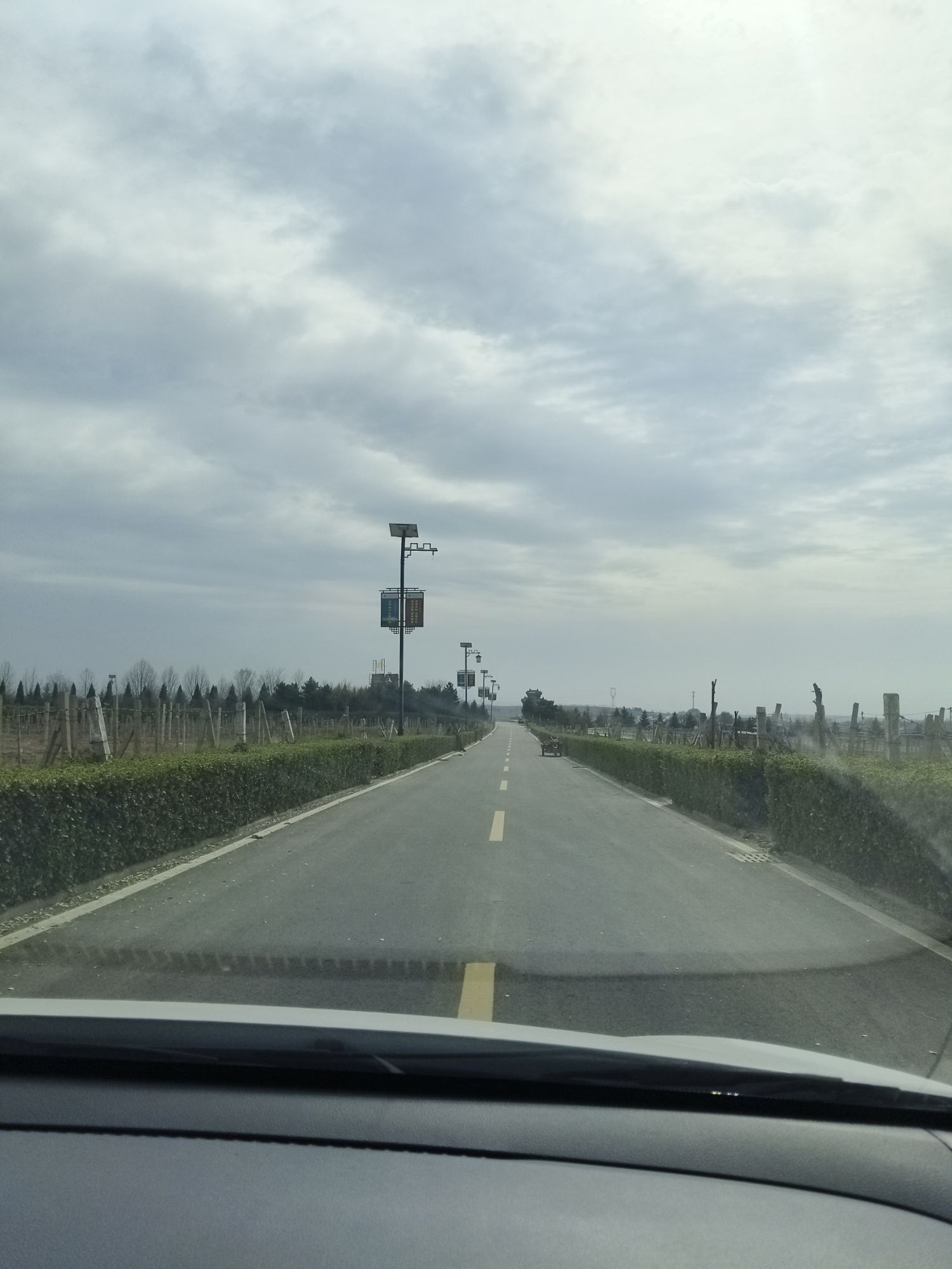 戎子酒庄旅行图片 3