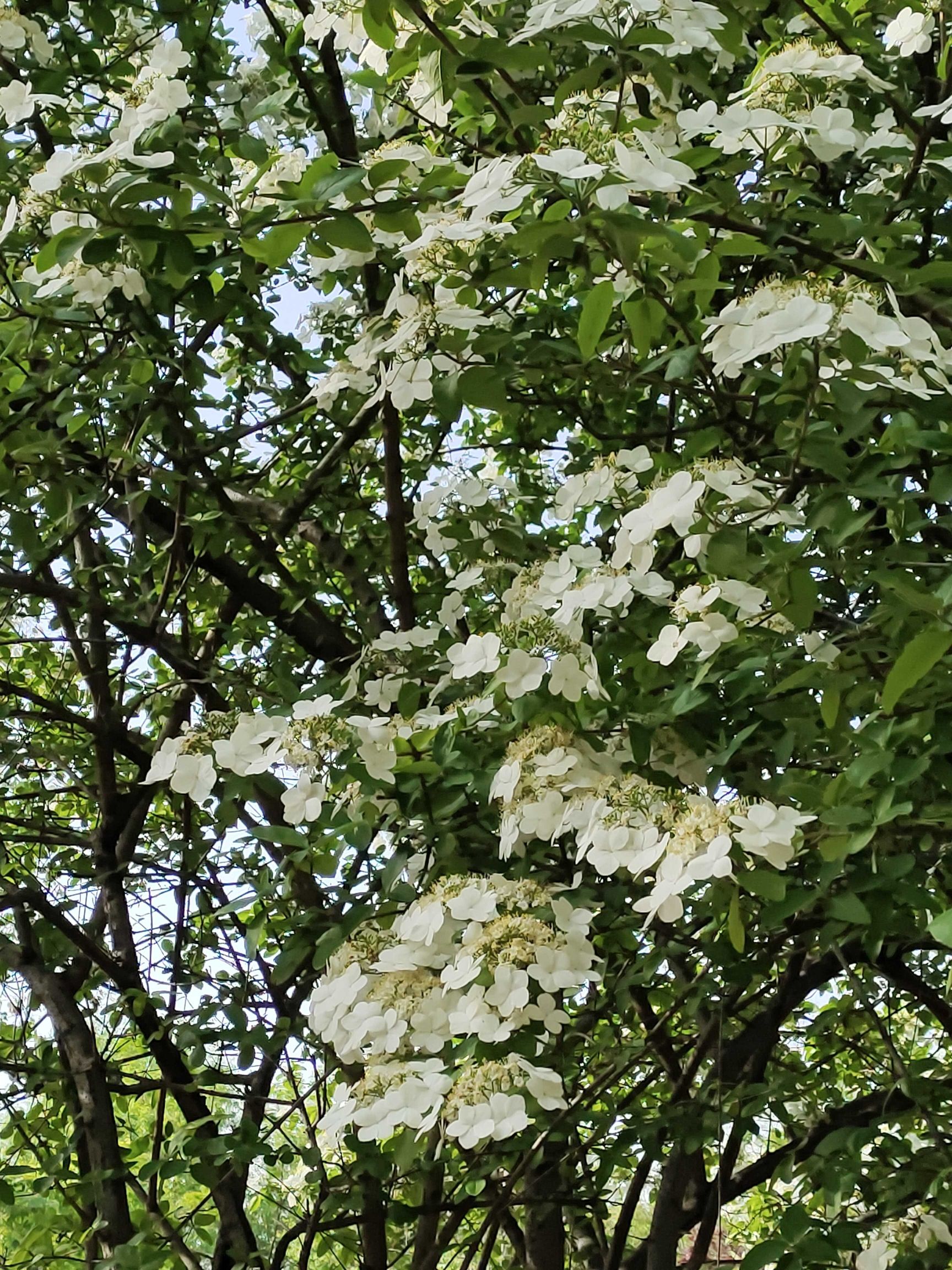 沂河公园旅行图片 2
