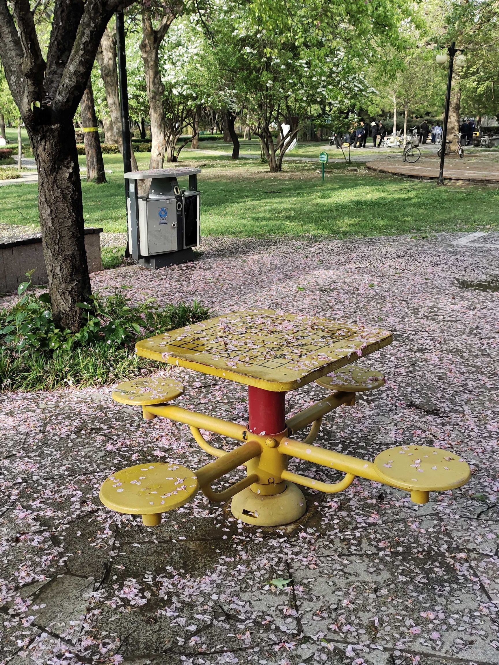 沂河公园旅行图片 1