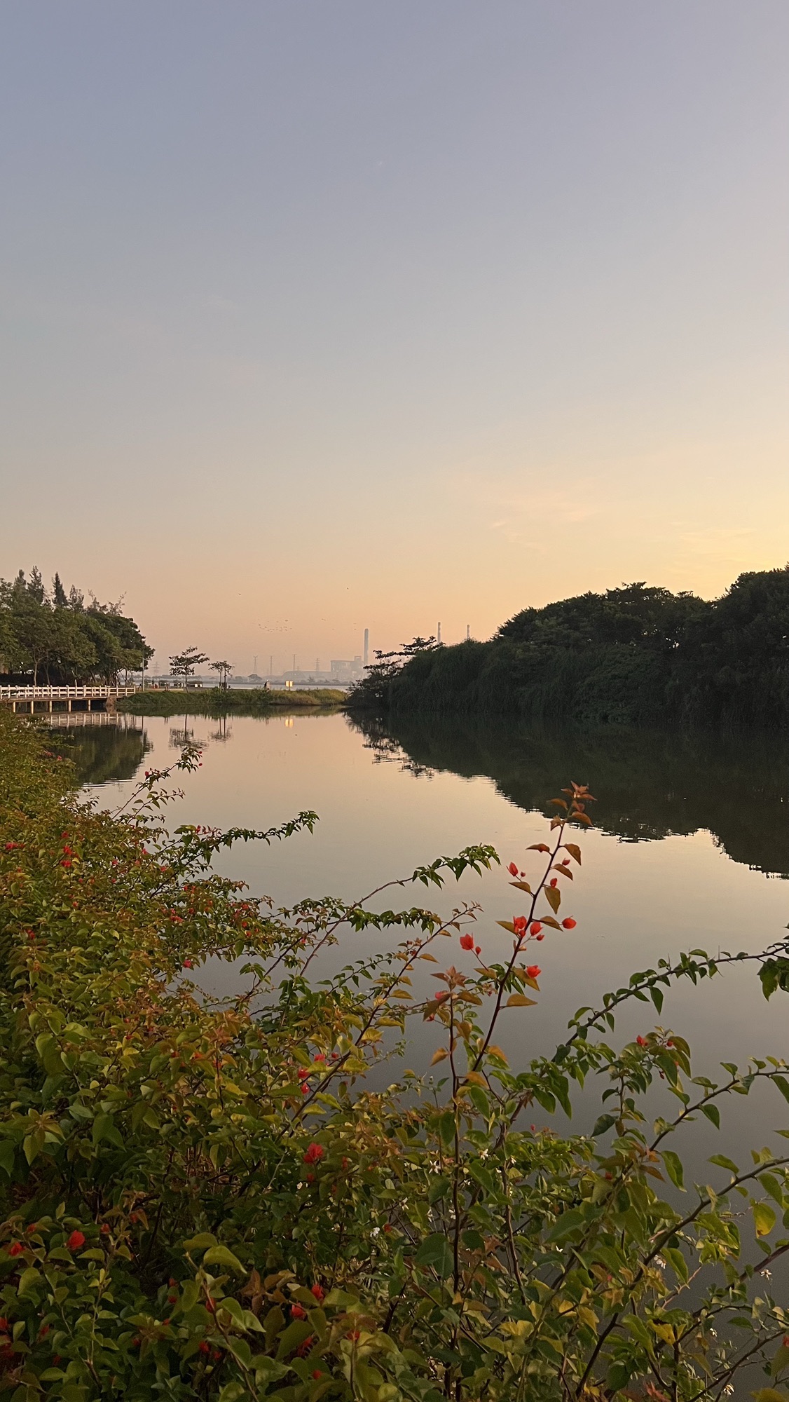 滨湖湿地公园旅行图片 3
