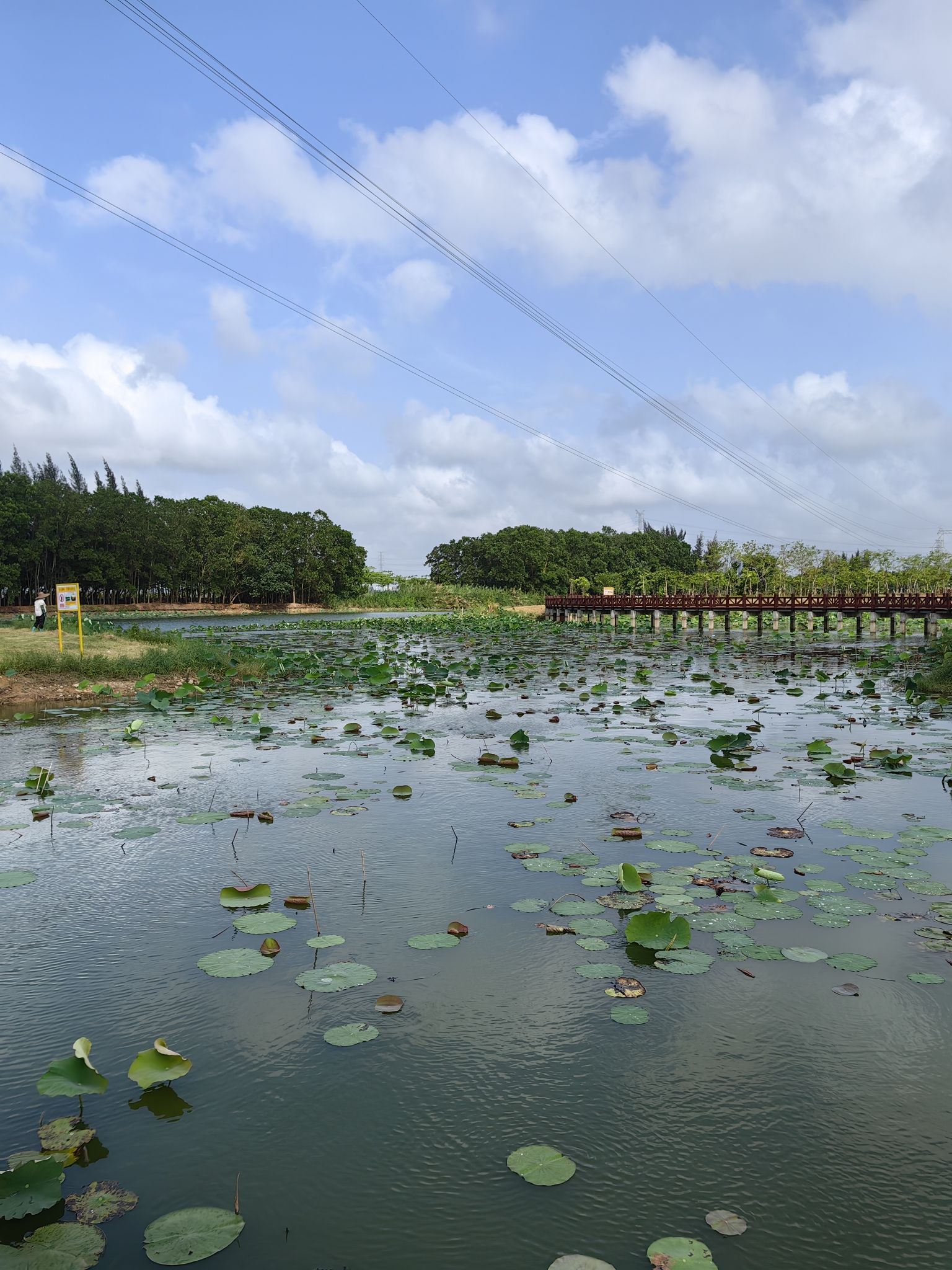 滨湖湿地公园