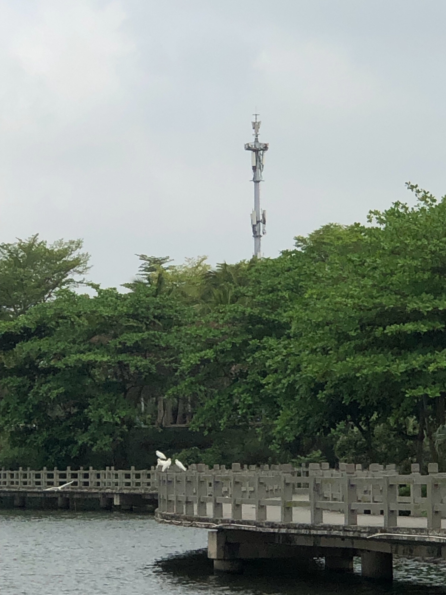 滨湖湿地公园旅行图片 3