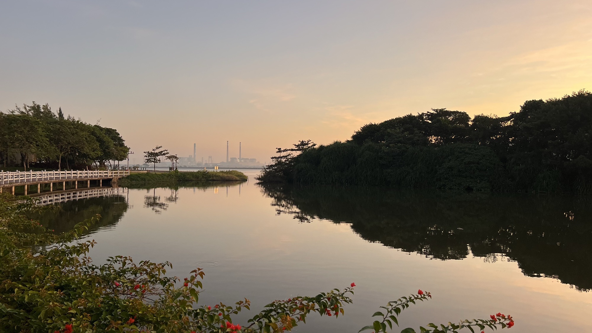 滨湖湿地公园旅行图片 1