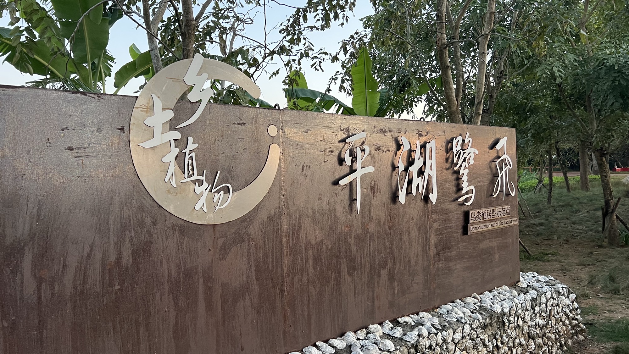 滨湖湿地公园旅行图片 2