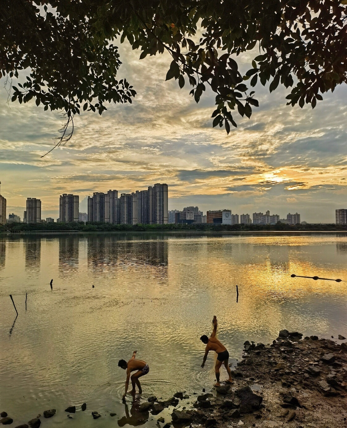滨湖湿地公园旅行图片 1