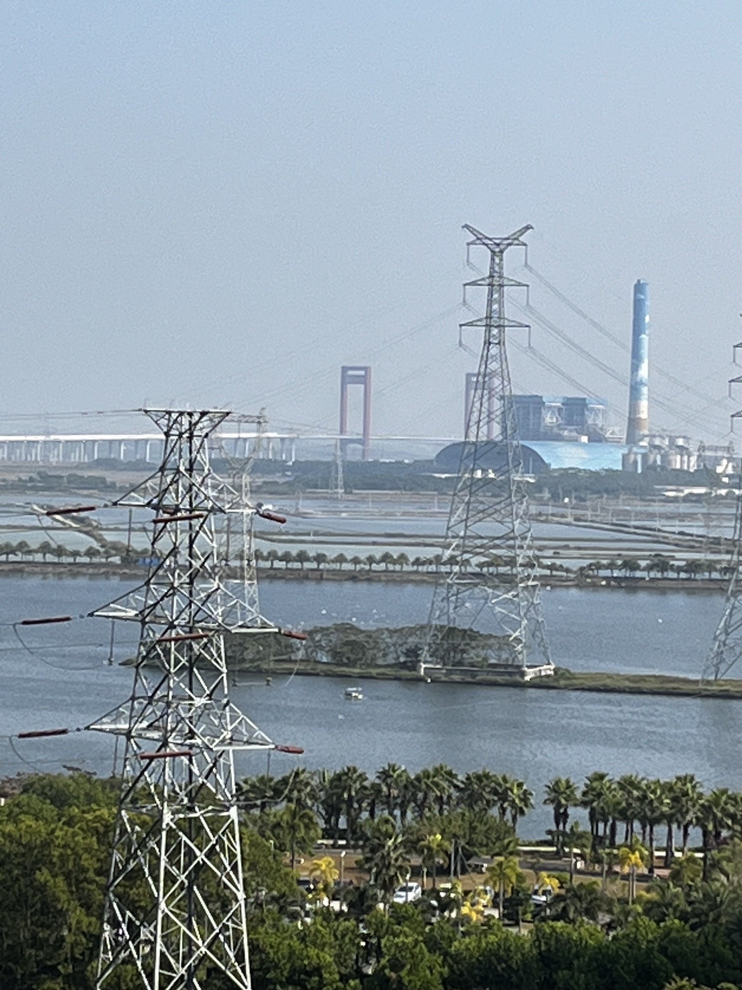 滨湖湿地公园旅行图片 3