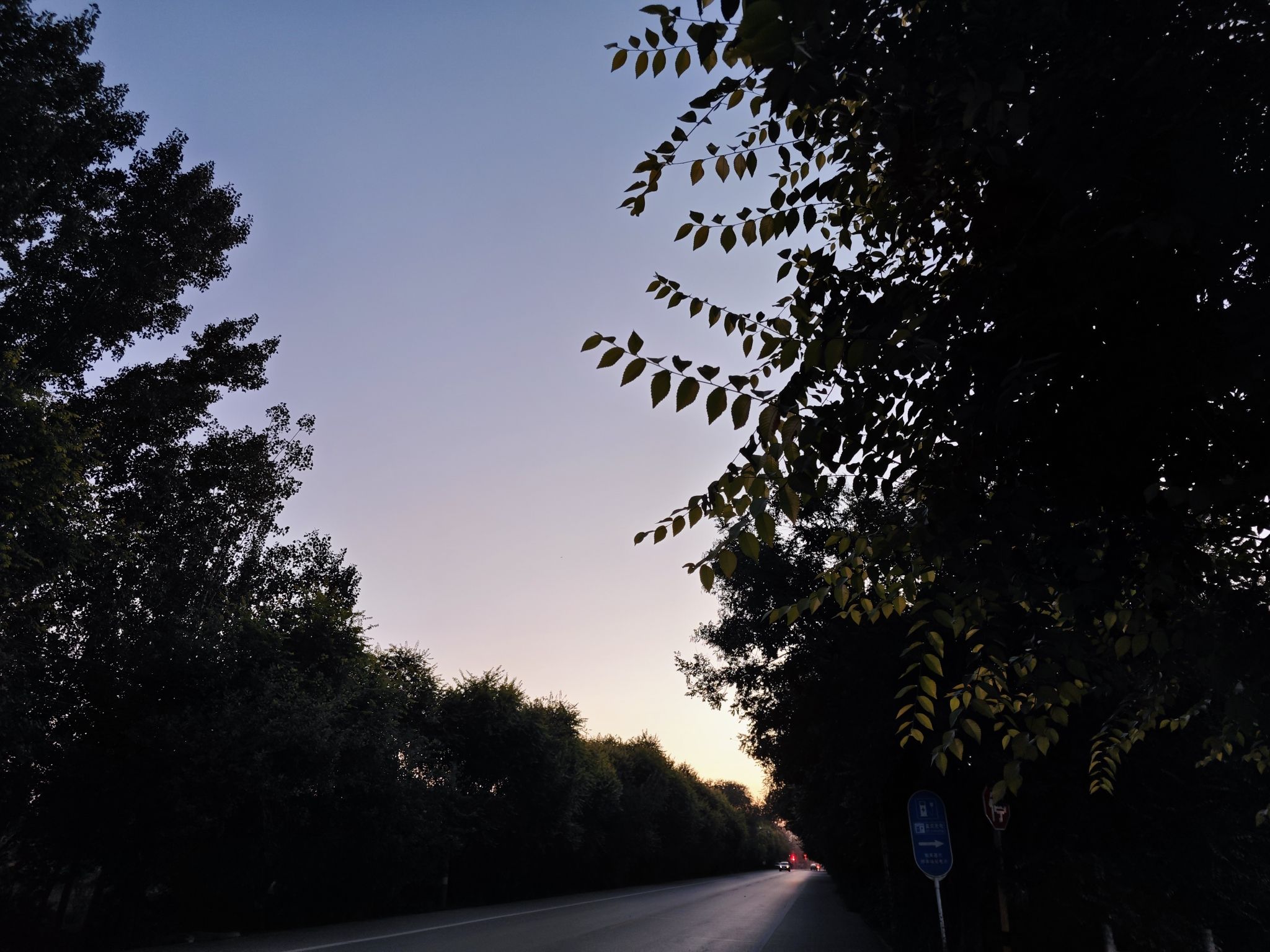 梨花庄园旅行图片 3