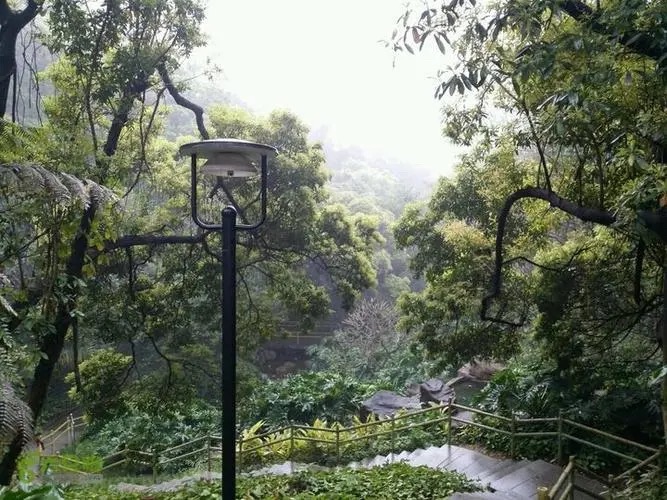 白水带公园牌坊旅行图片 1