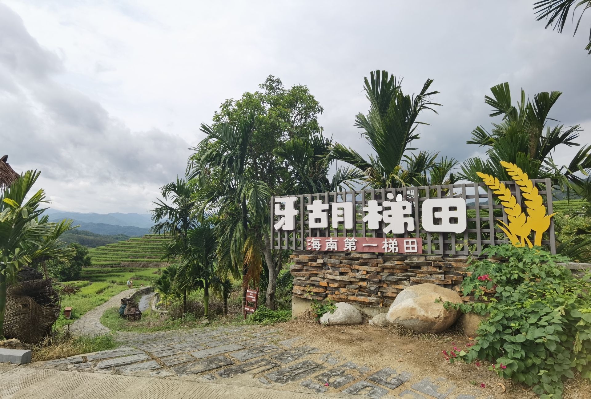 牙胡梯田景区