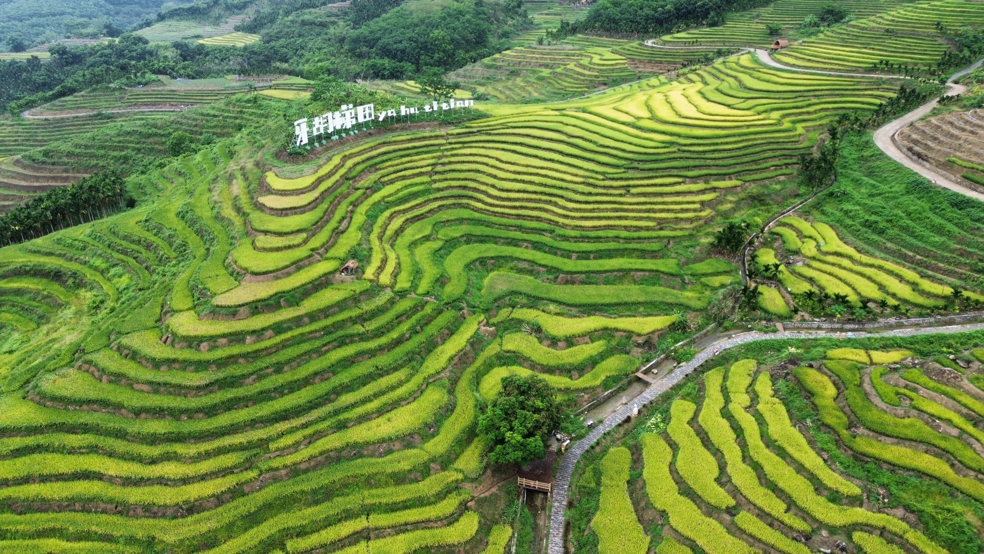 牙胡梯田景区