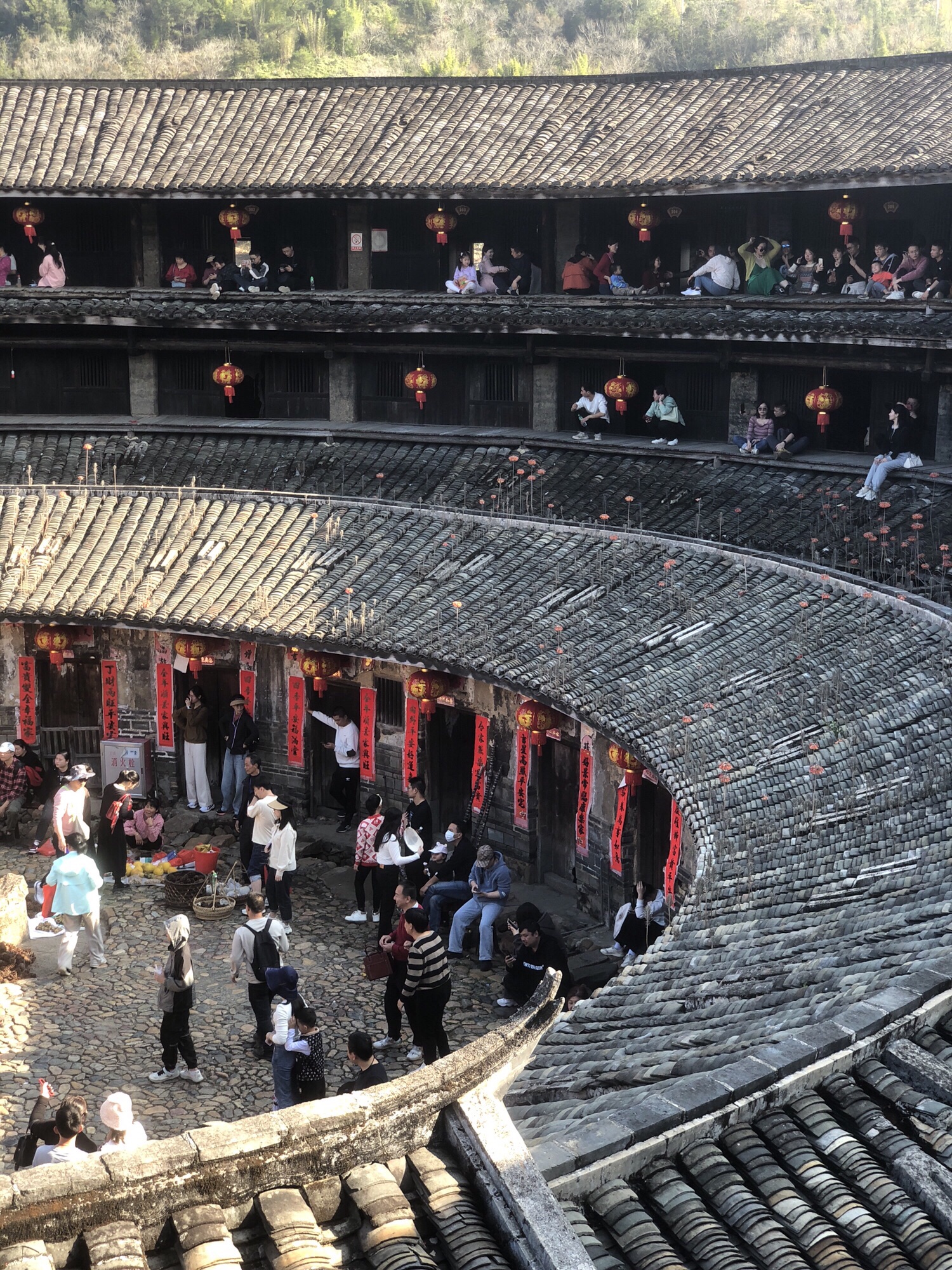 花萼楼旅行图片 3