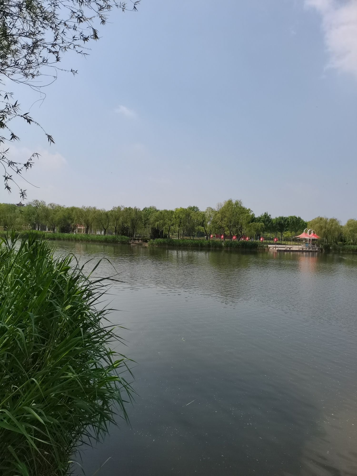茌山公园旅行图片 3