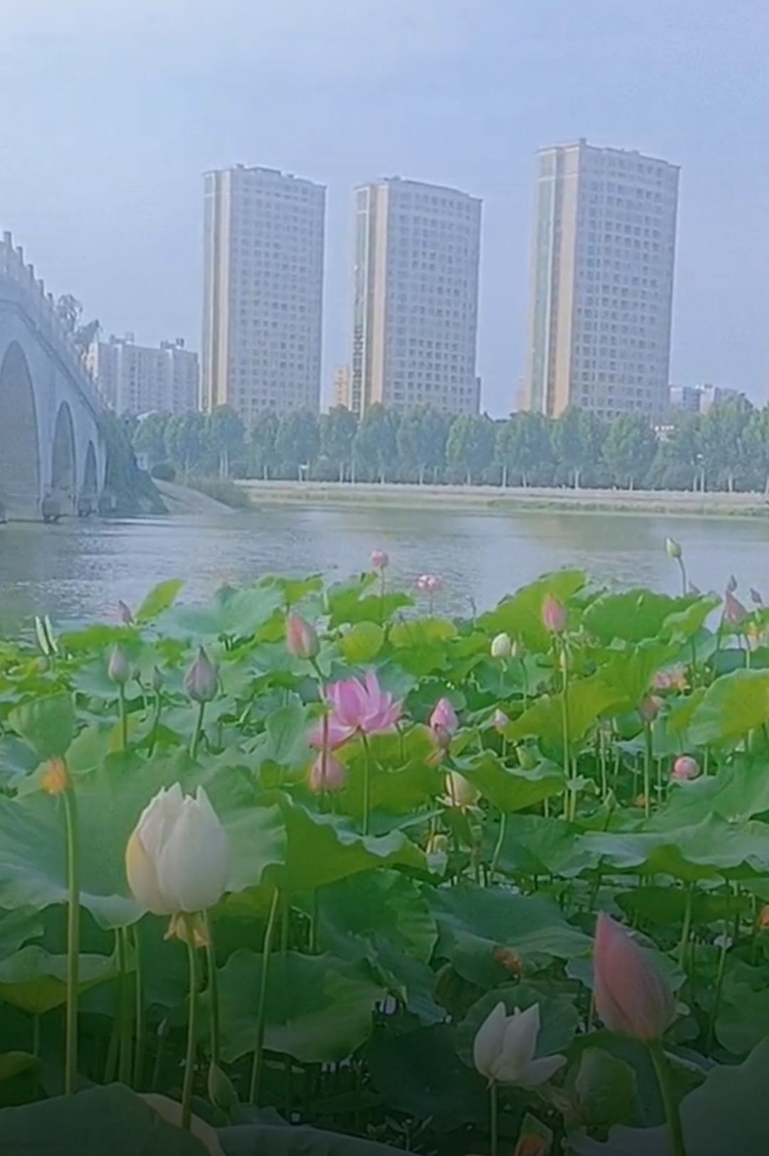 梦泽湖公园旅行图片 2
