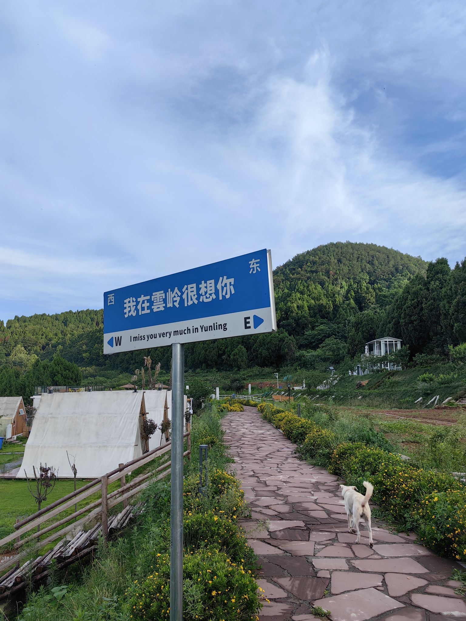 凯江大回湾旅行图片 1