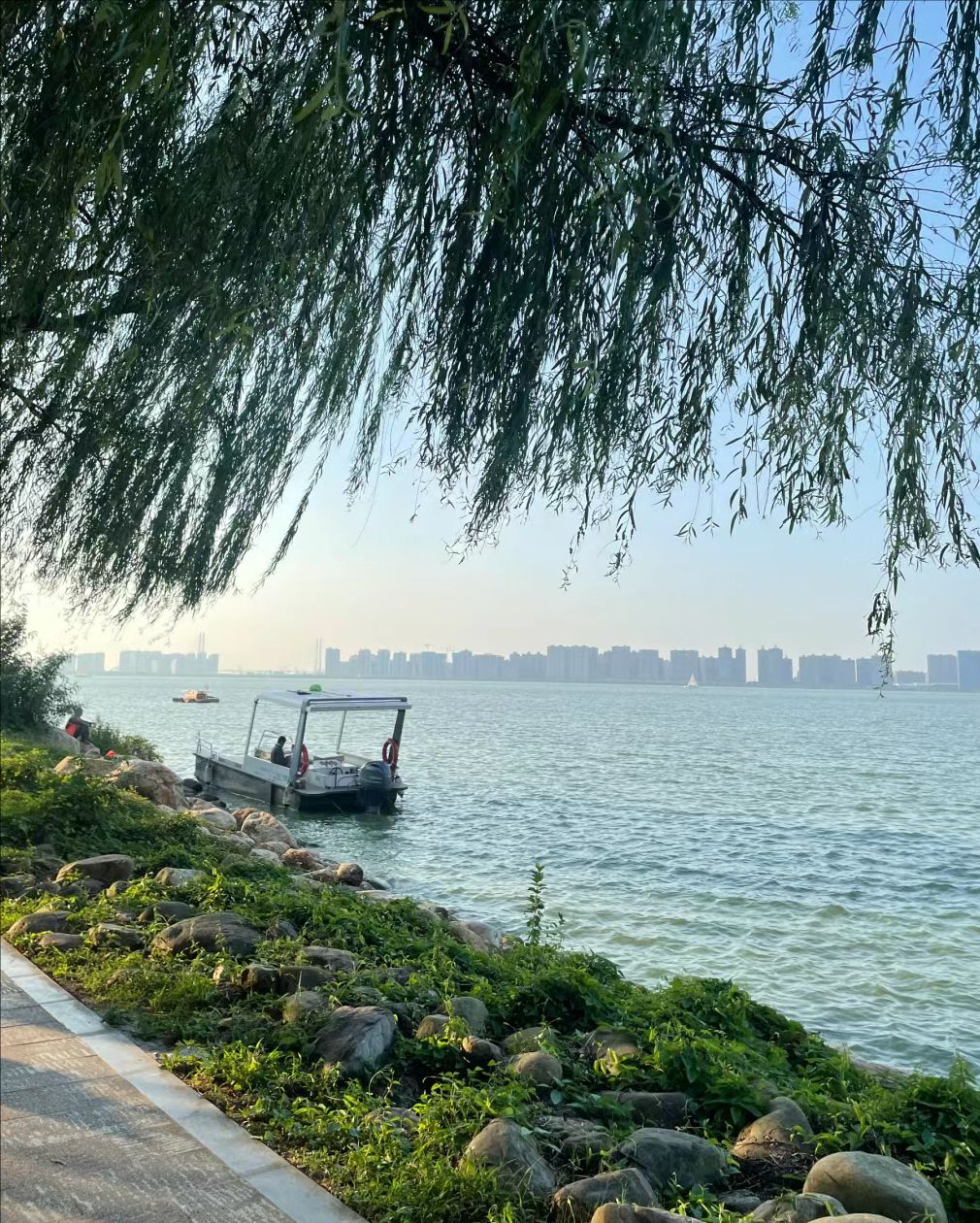 八里湖婚礼公园旅行图片 1